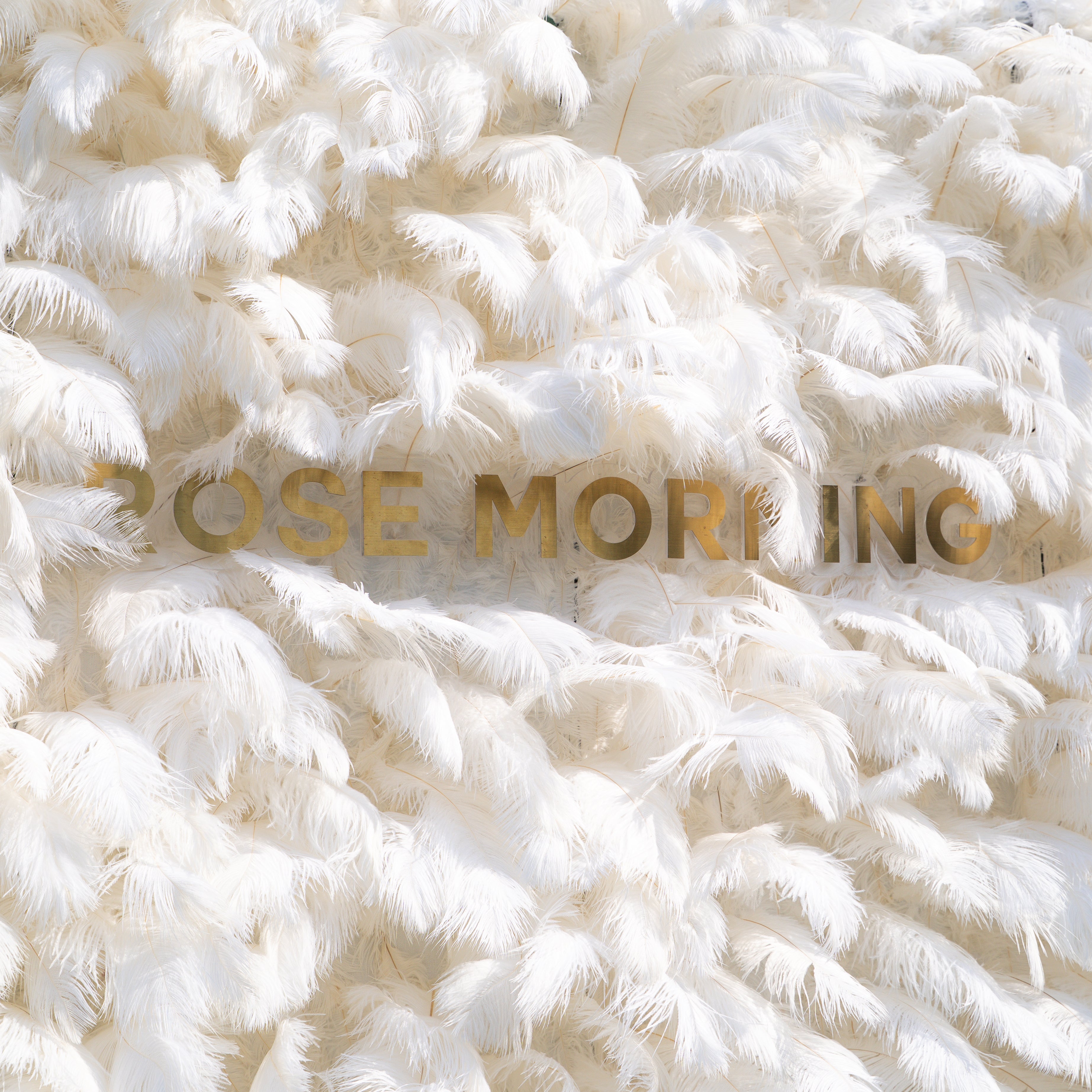 White Feather 2025:5D Fabric Artificial rolling up curtain flower wall