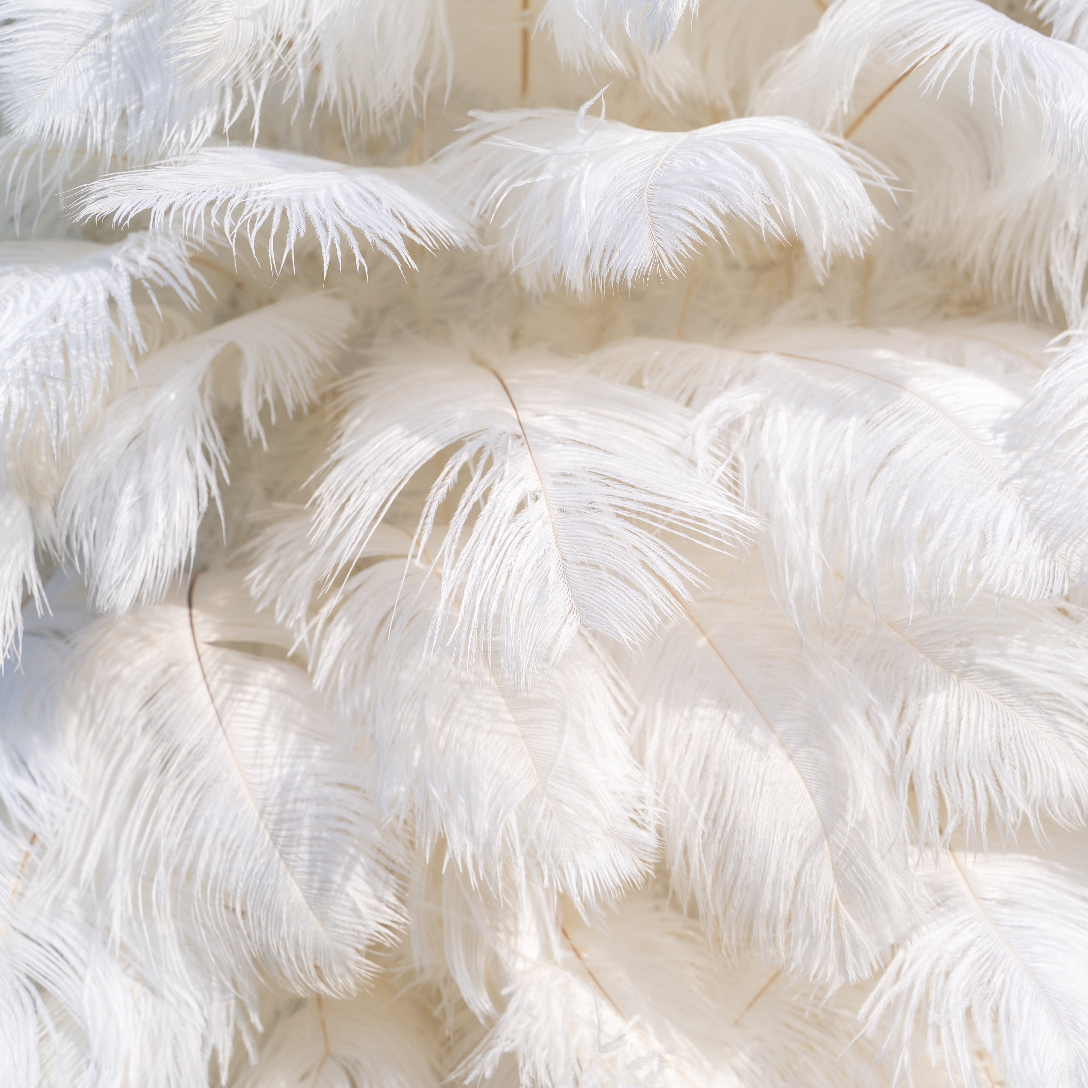 White Feather 2025:5D Fabric Artificial rolling up curtain flower wall