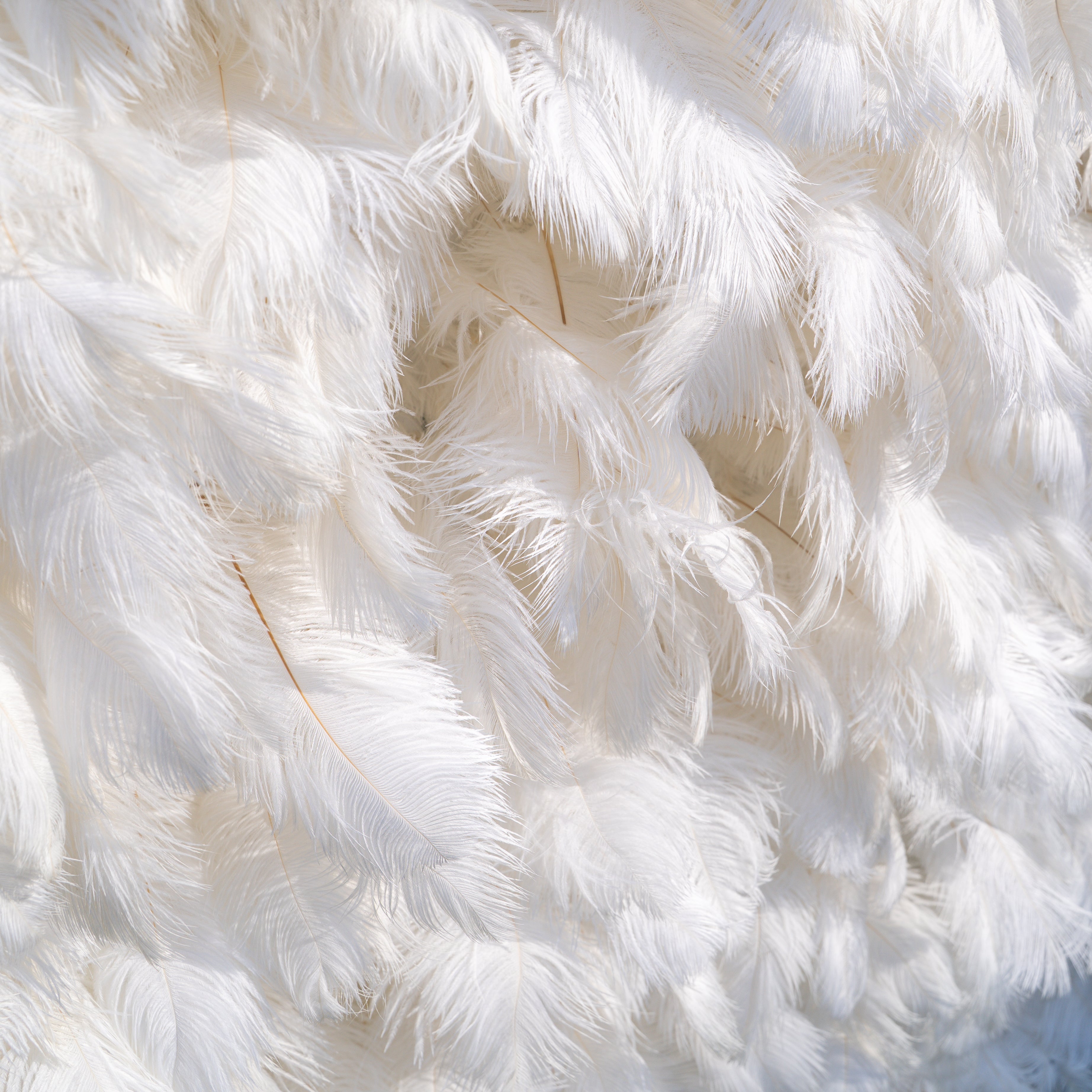 White Feather 2025:5D Fabric Artificial rolling up curtain flower wall