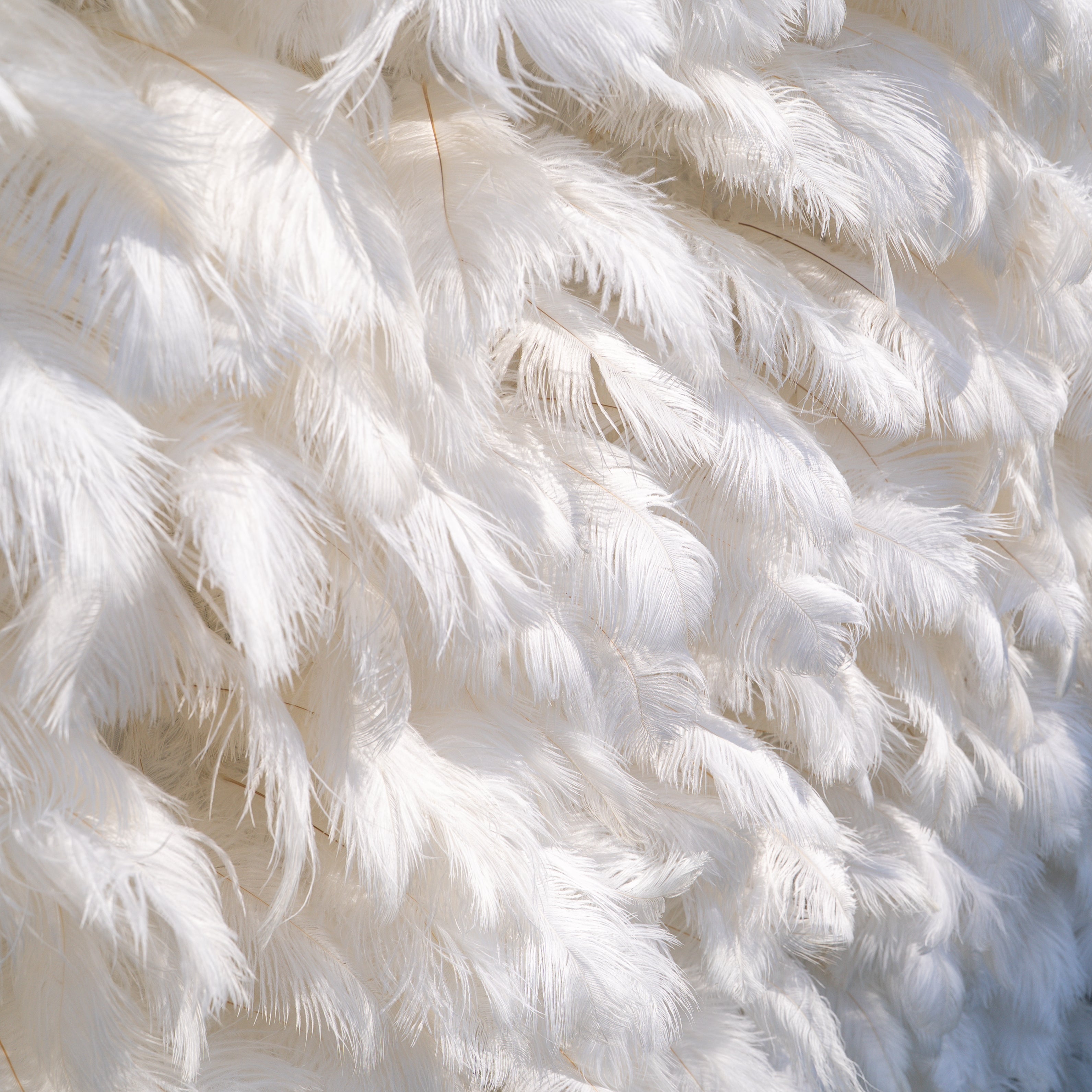 White Feather 2025:5D Fabric Artificial rolling up curtain flower wall