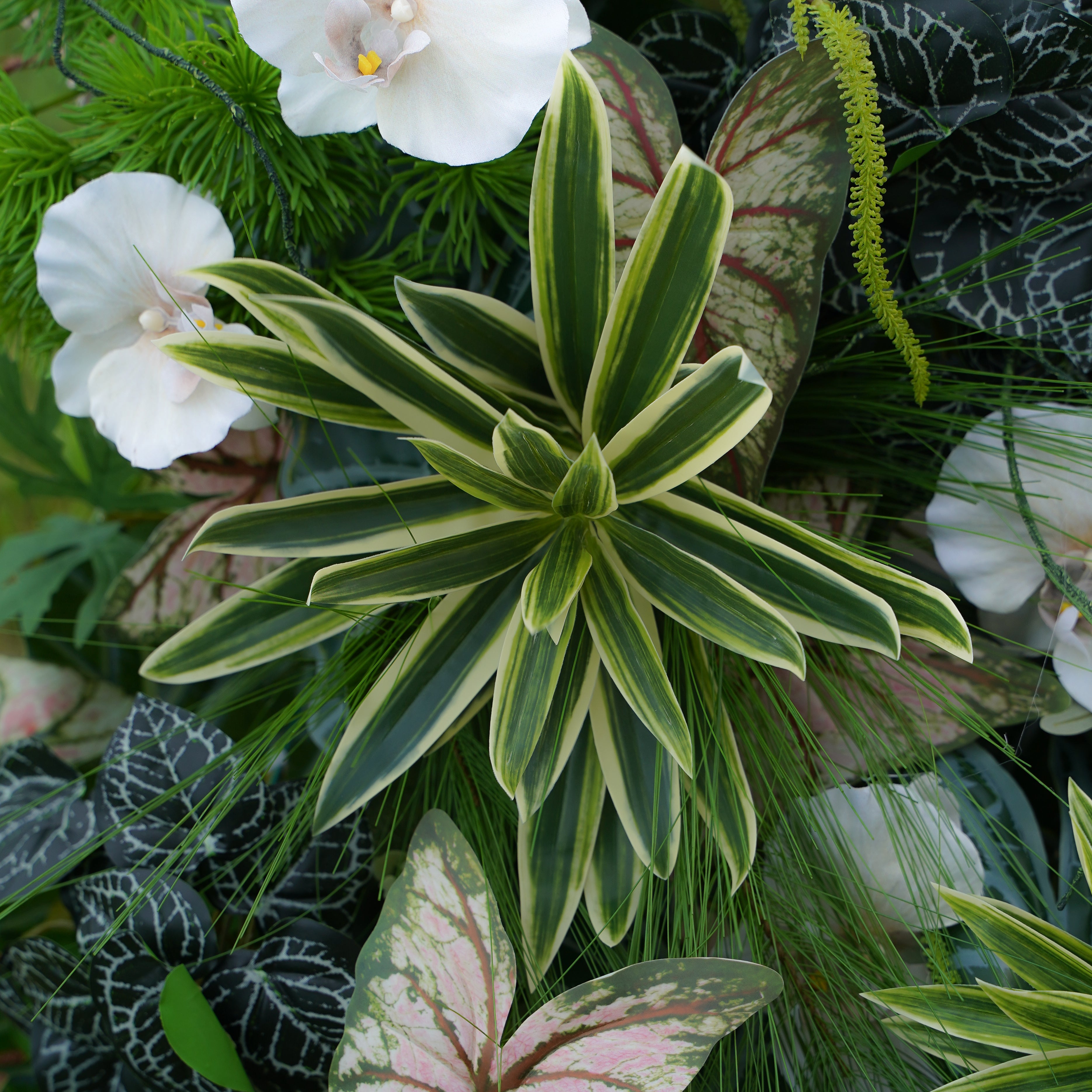 If you are looking for a unique and stylish way to decorate your home, a Rosemorning 5D flower wall is a great option.