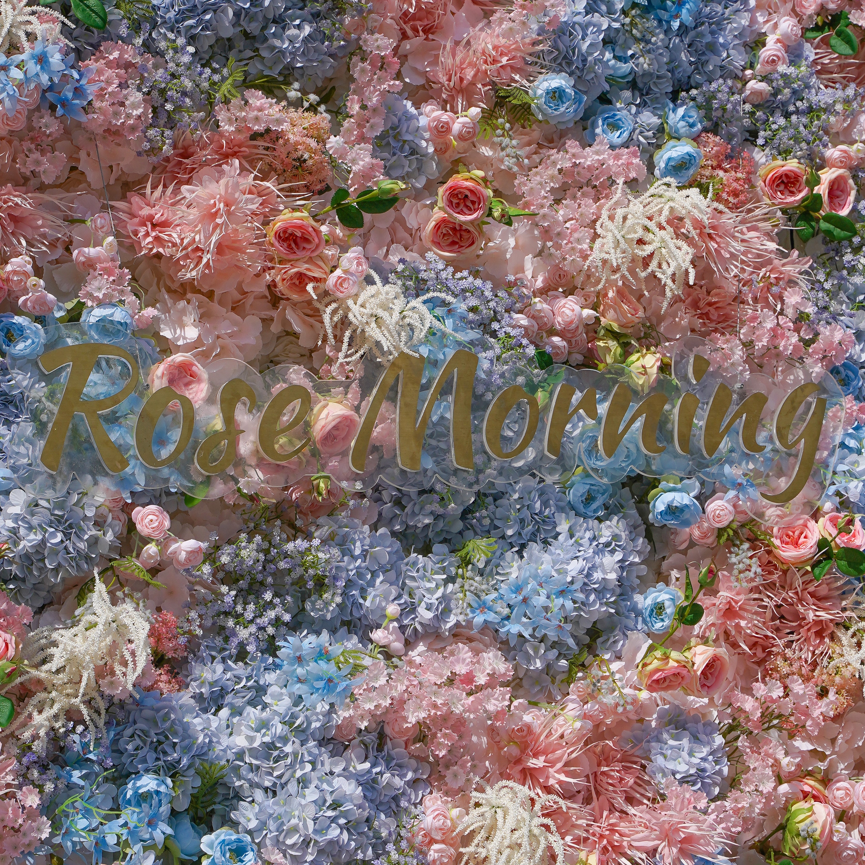 Alyssa: 5D Fabric Artificial Rolling Up Curtain Flower Wall R782 - 8ft*8ft Rose Morning