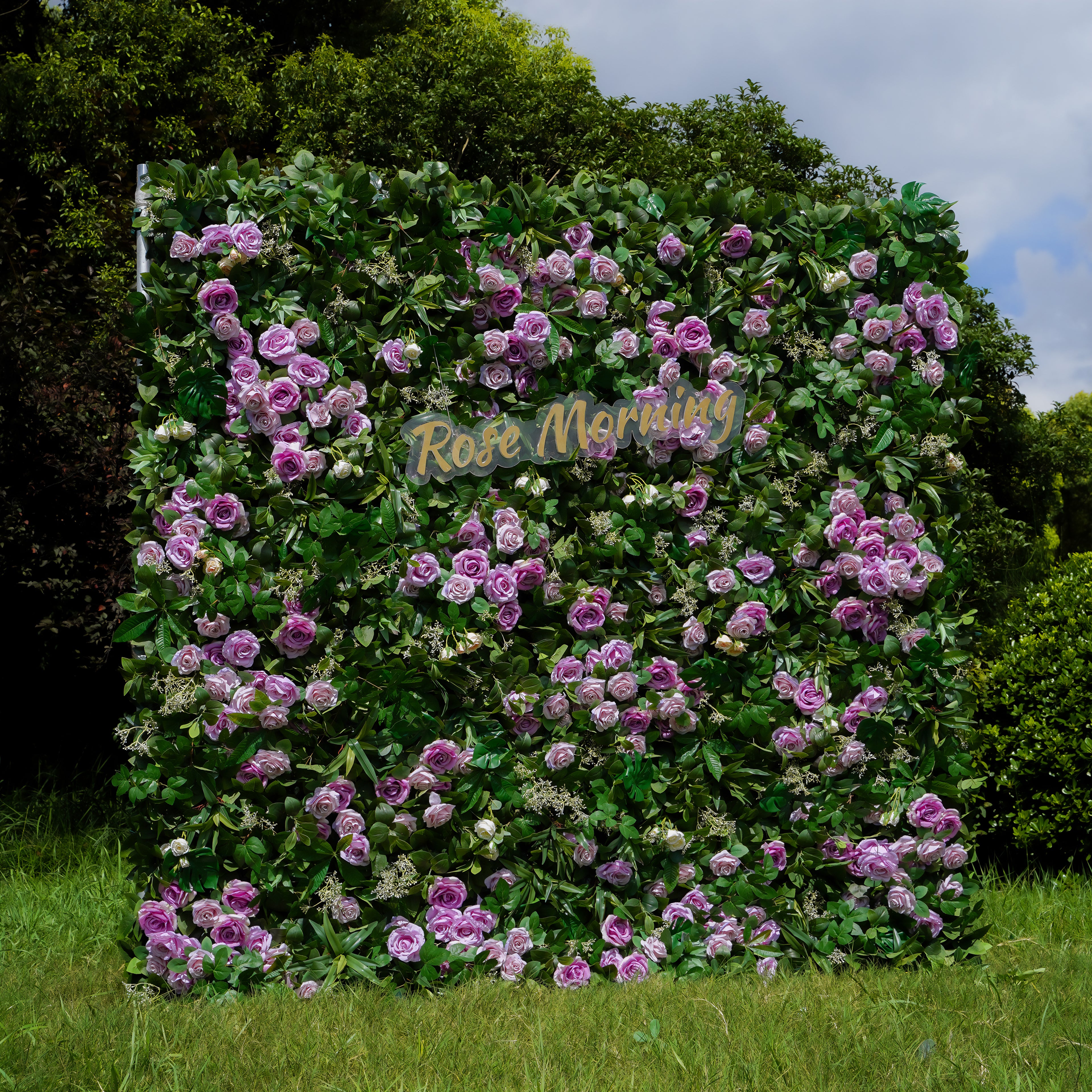 Juliette: 5D Fabric Artificial Flower Wall Rolling Up Curtain Flower Wall 8ft*8ft -R783 Rose Morning