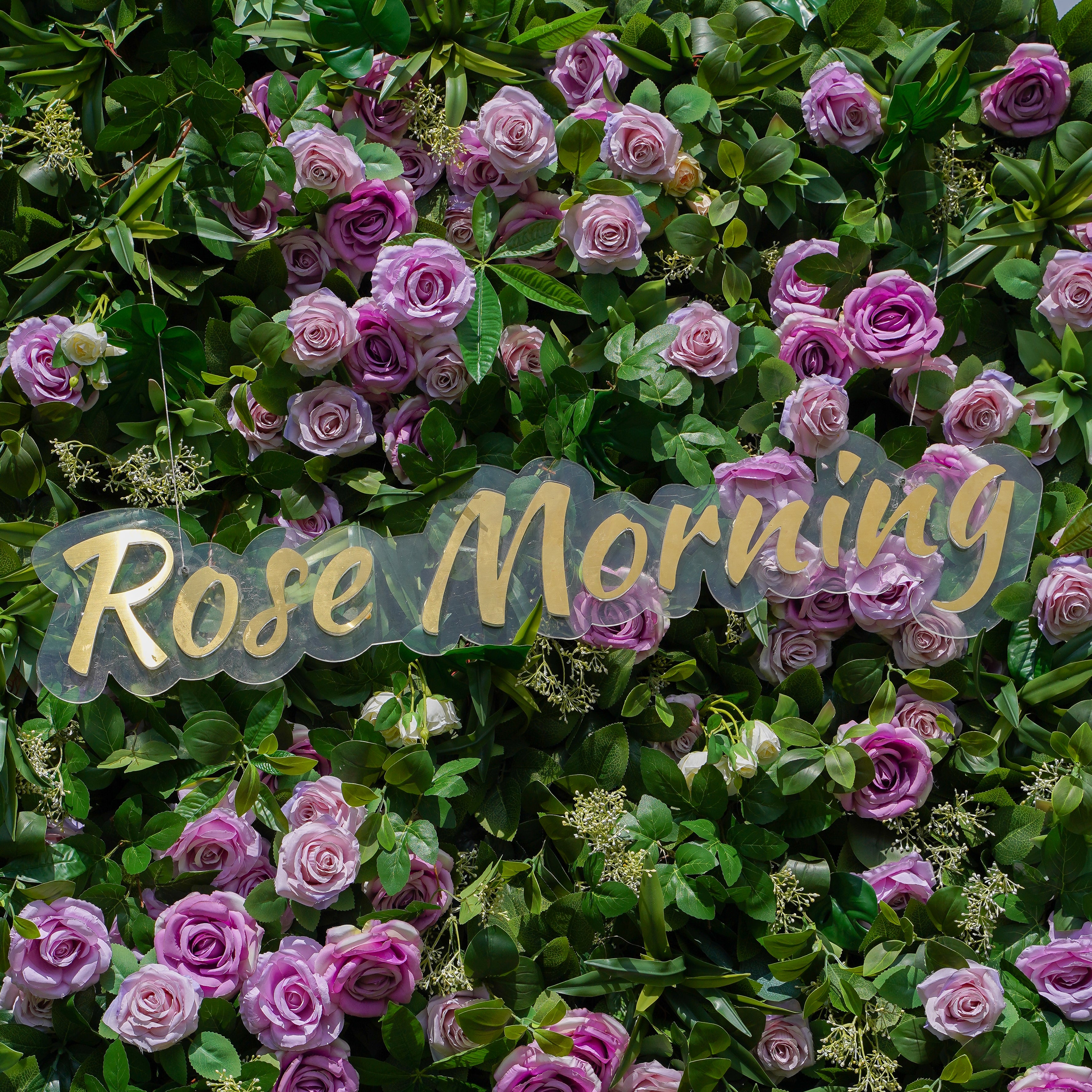 Juliette: 5D Fabric Artificial Flower Wall Rolling Up Curtain Flower Wall 8ft*8ft -R783 Rose Morning