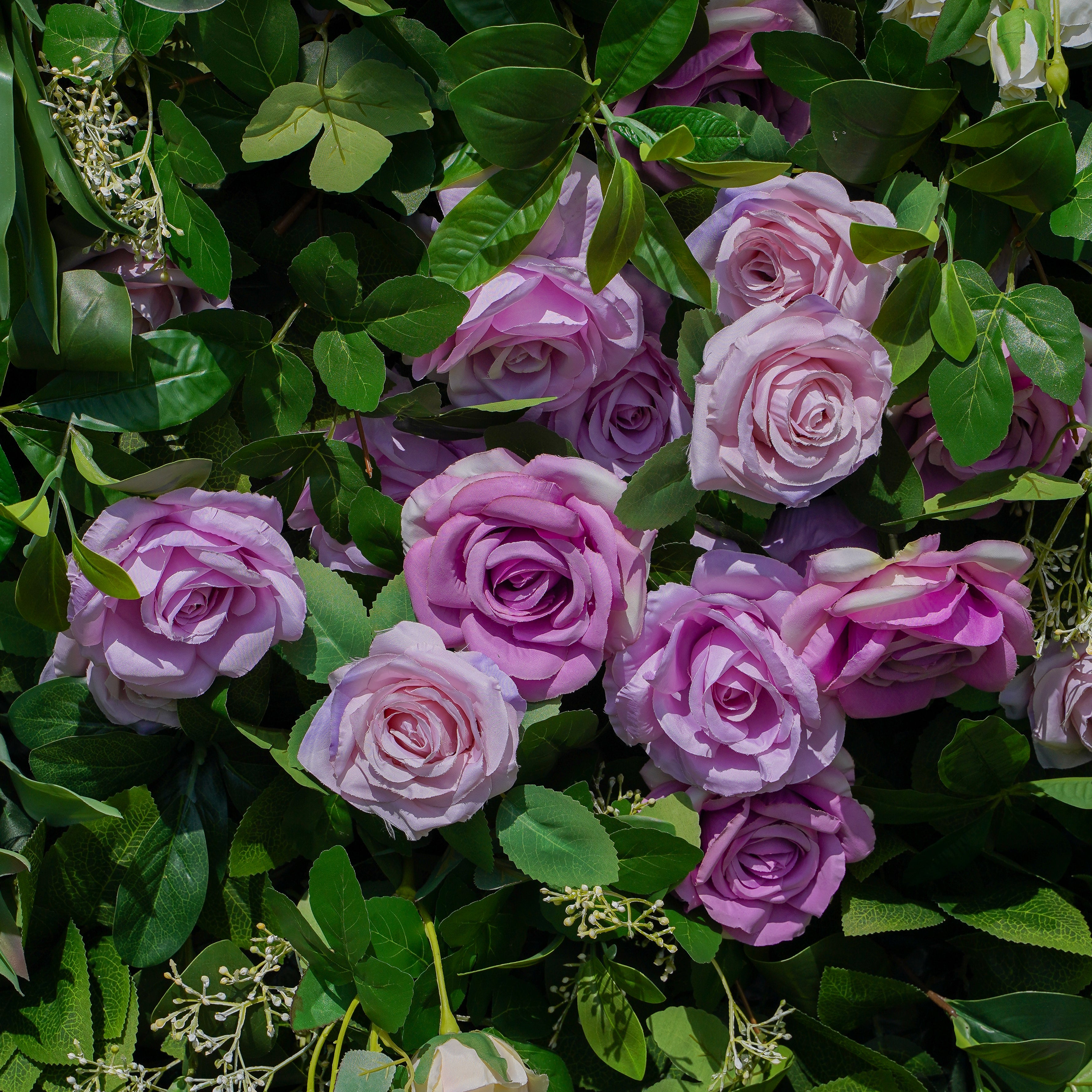 Juliette: 5D Fabric Artificial Flower Wall Rolling Up Curtain Flower Wall 8ft*8ft -R783 Rose Morning