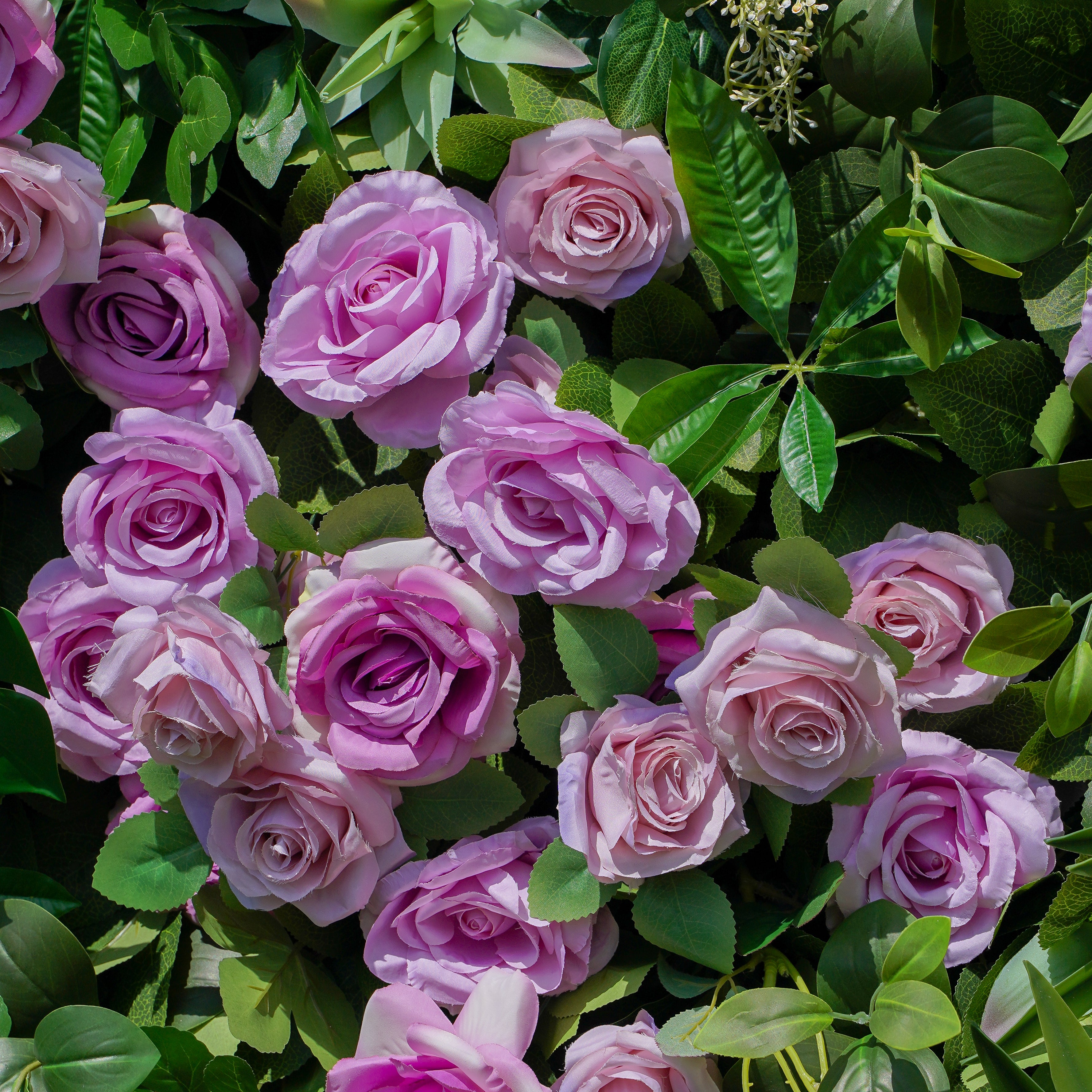 Juliette: 5D Fabric Artificial Flower Wall Rolling Up Curtain Flower Wall 8ft*8ft -R783 Rose Morning