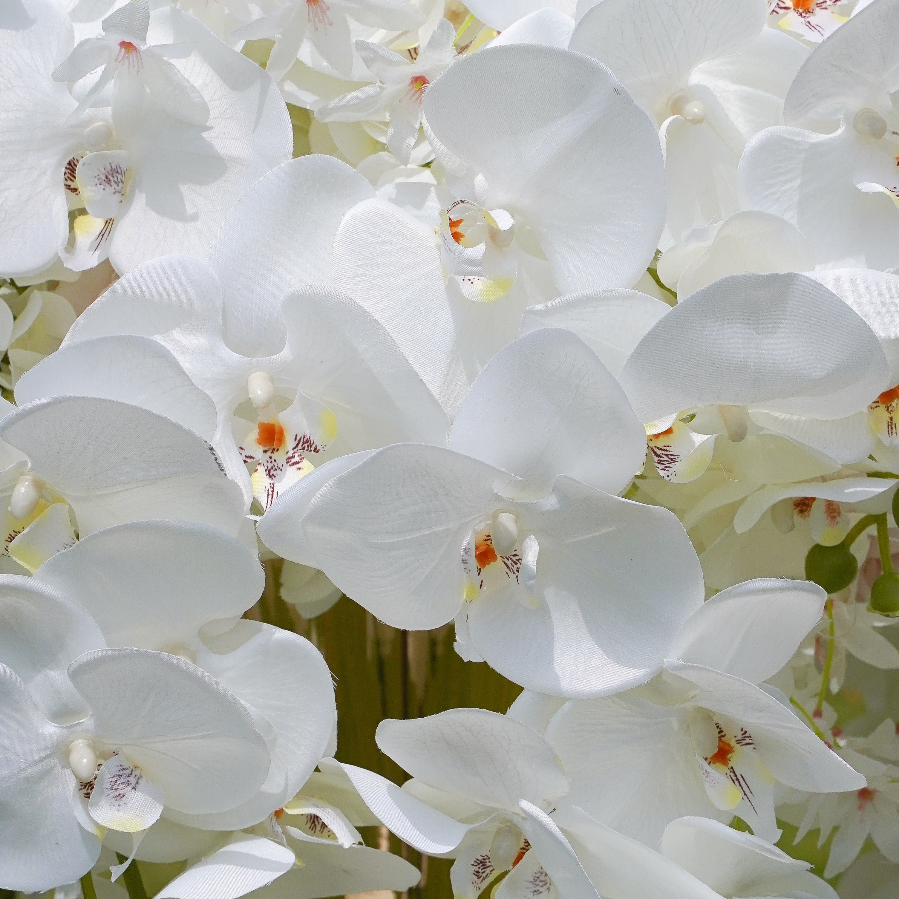 White Phalaenopsis Flower Ball:Flower Centerpiece Bouquet Table Decoration Flower Ball -R181 Rose Morning