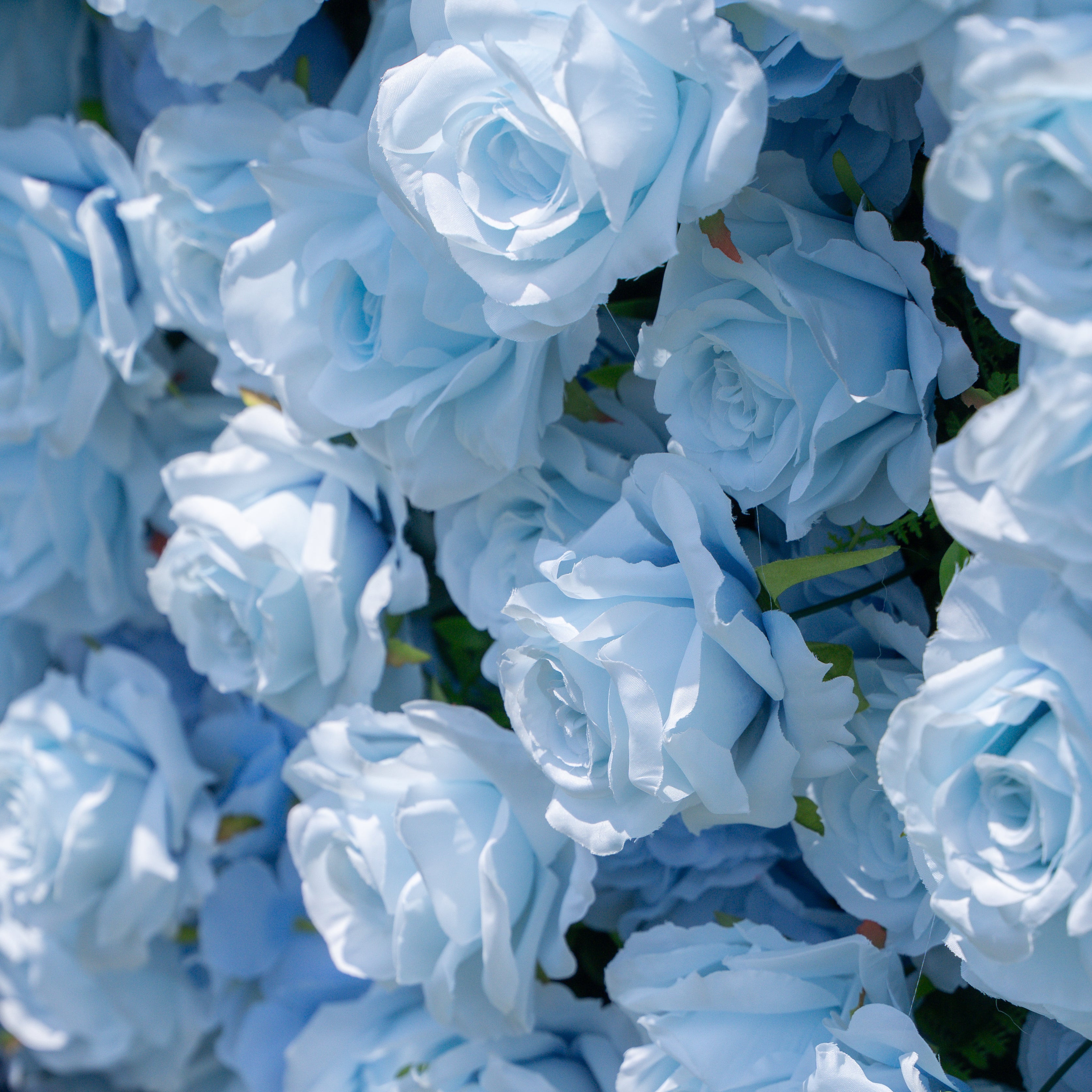 Pick 4 of 6-C:3D Fabric Artificial rolling up curtain flower wall