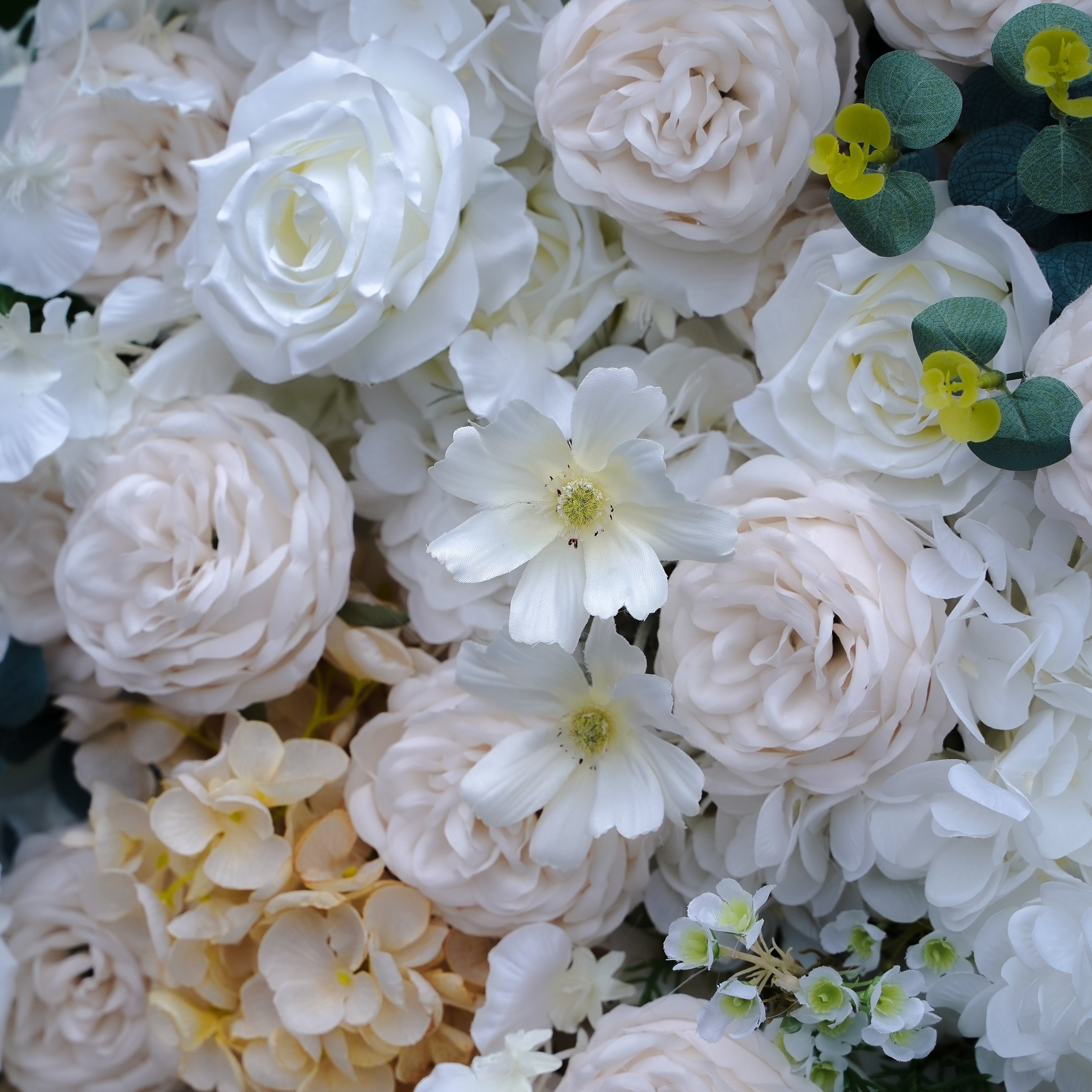 Ivy:5D 2023 New Fabric Artificial rolling up curtain flower wall Rose Morning