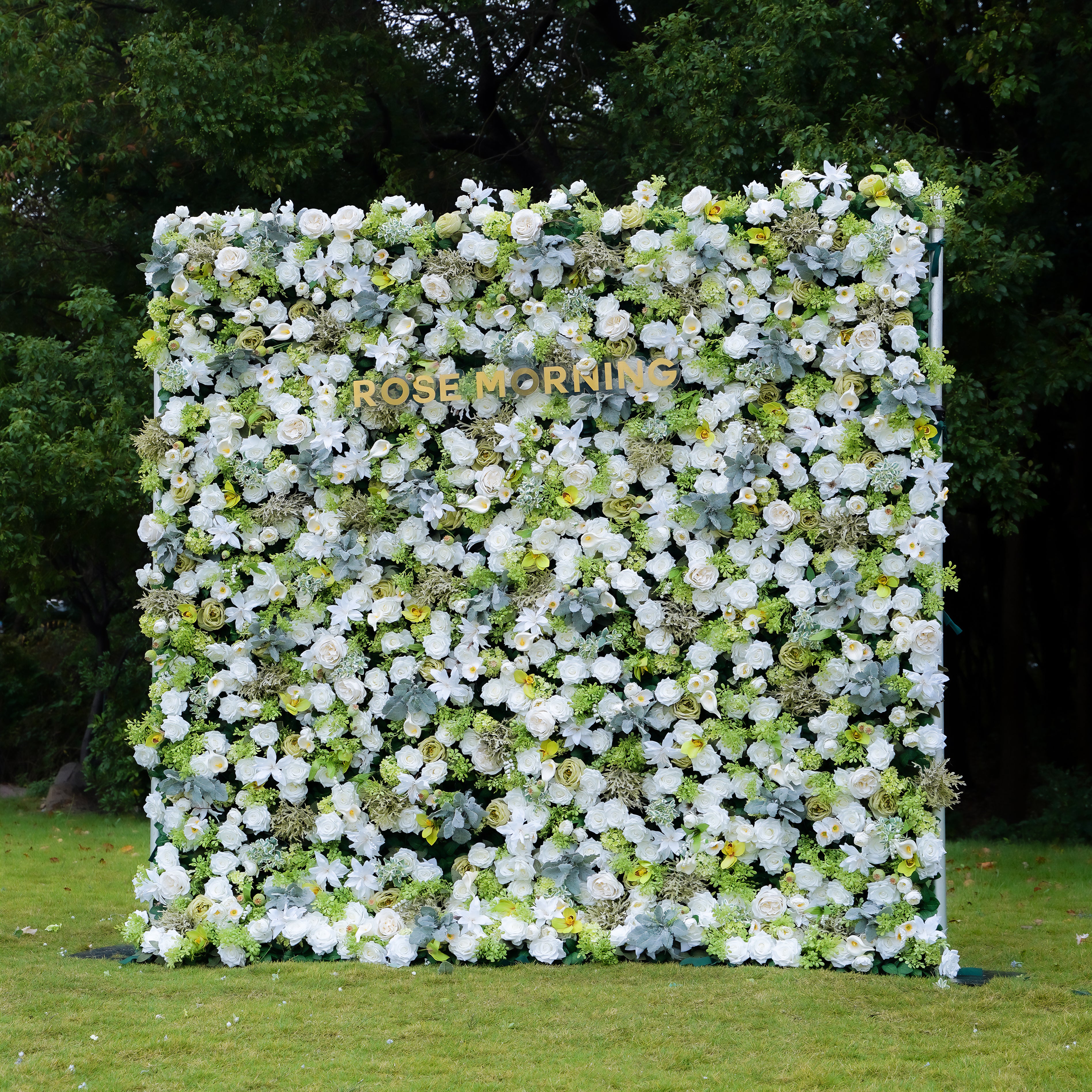 Echo 5D Fabric Artificial rolling up curtain flower wall Rose Morning