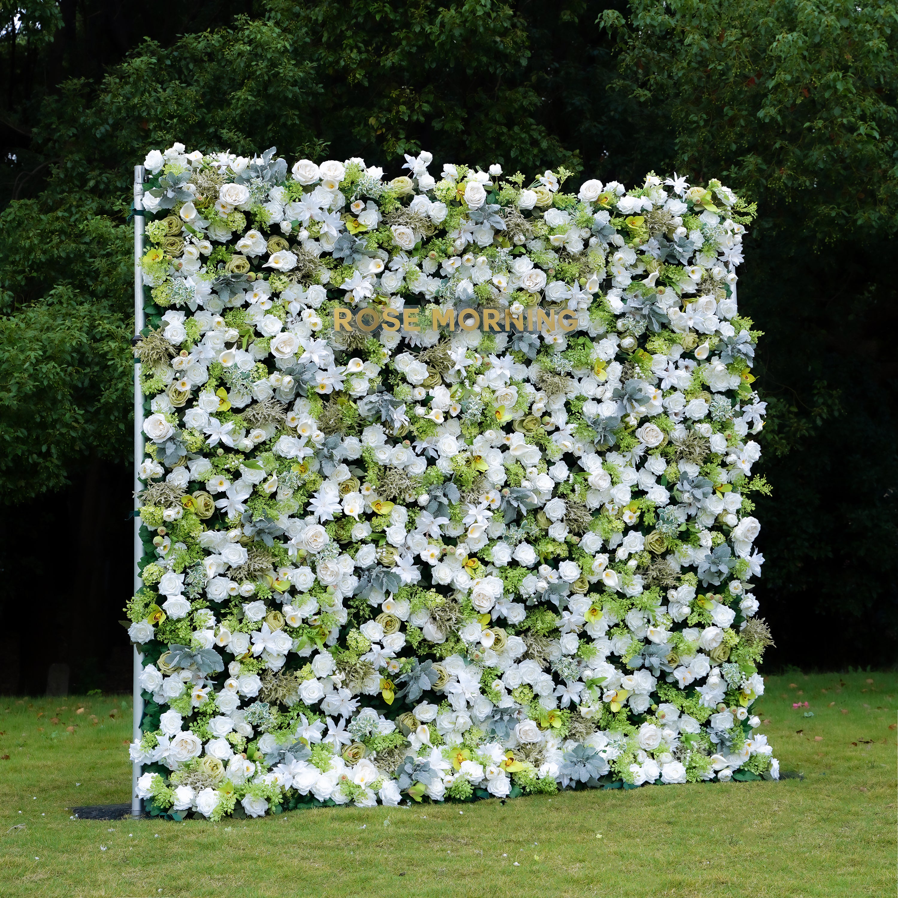 Echo 5D Fabric Artificial rolling up curtain flower wall Rose Morning