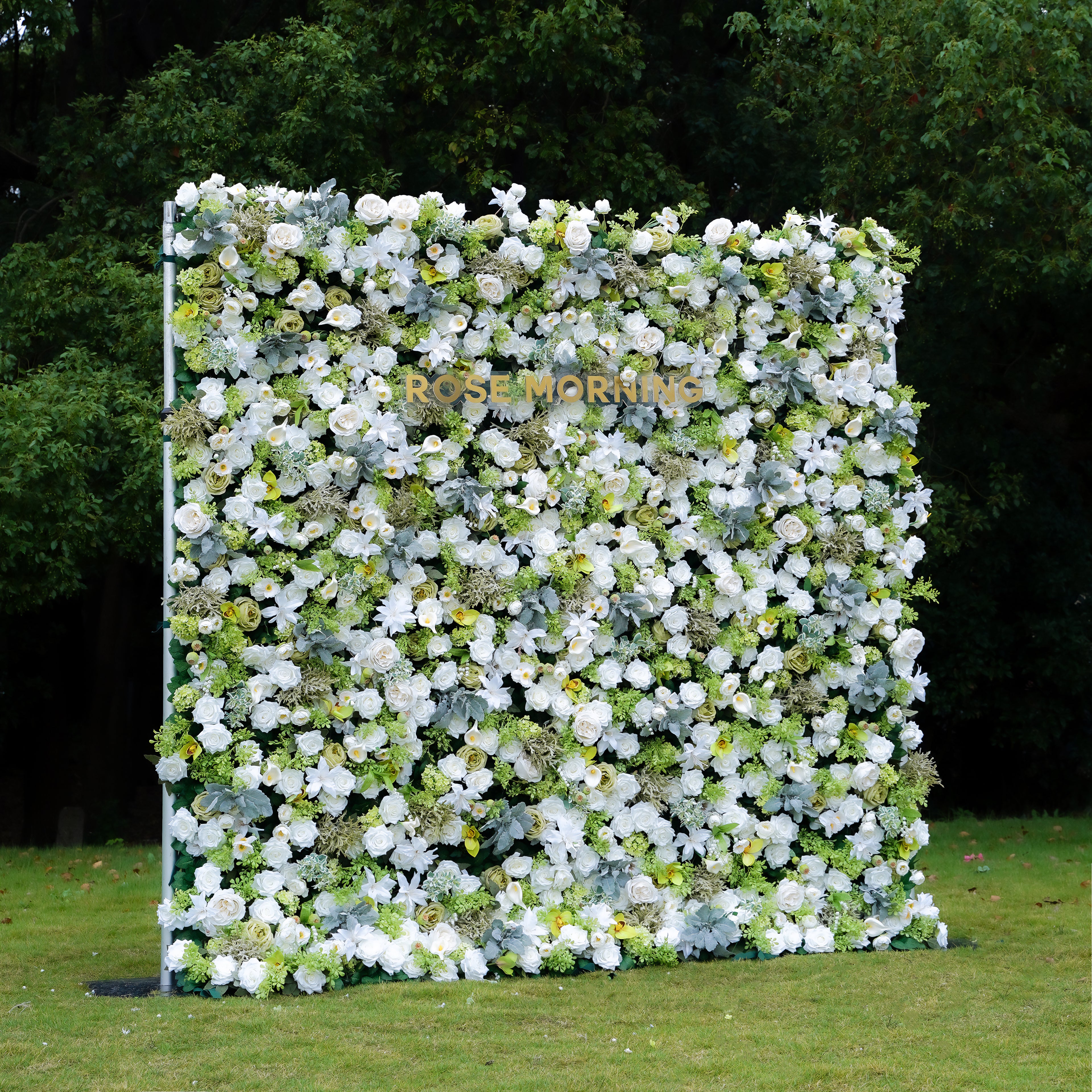 Echo 5D Fabric Artificial rolling up curtain flower wall Rose Morning