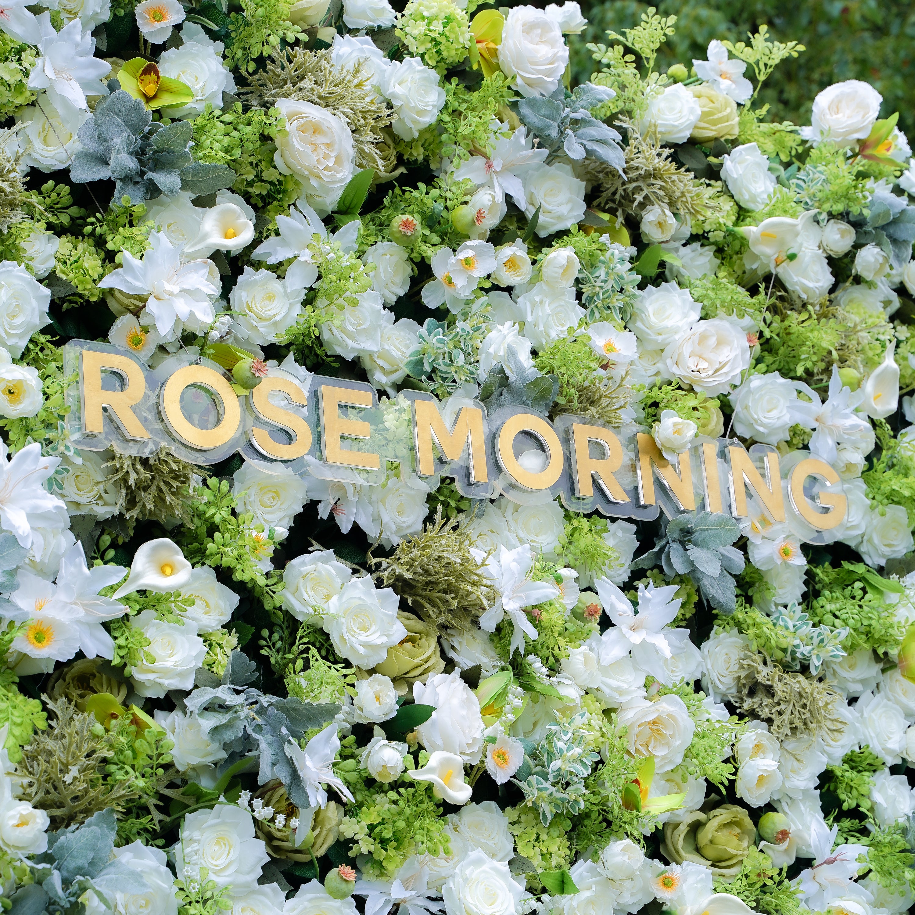 Echo 5D Fabric Artificial rolling up curtain flower wall Rose Morning