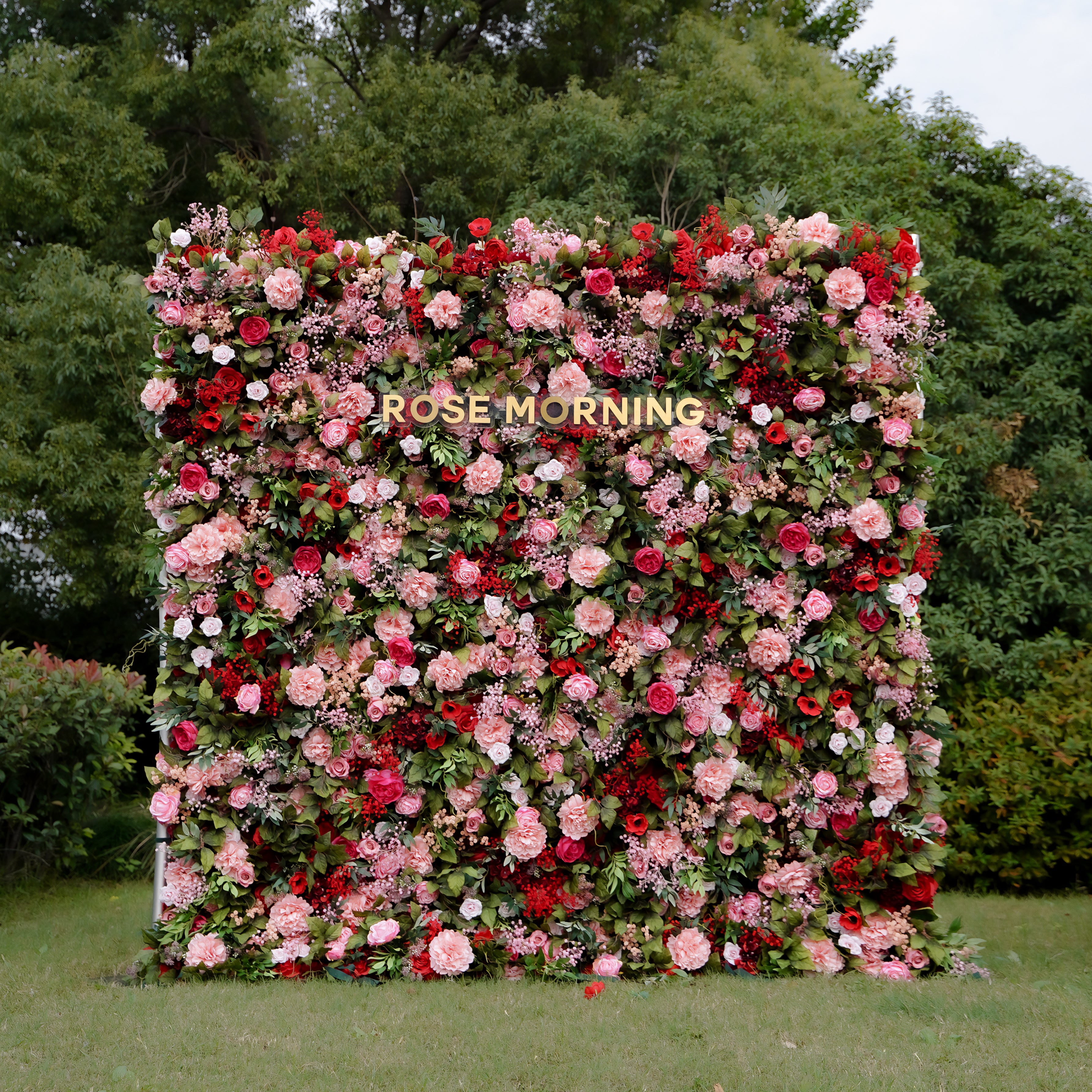 Freya 5D Fabric Artificial rolling up curtain flower wall Rose Morning