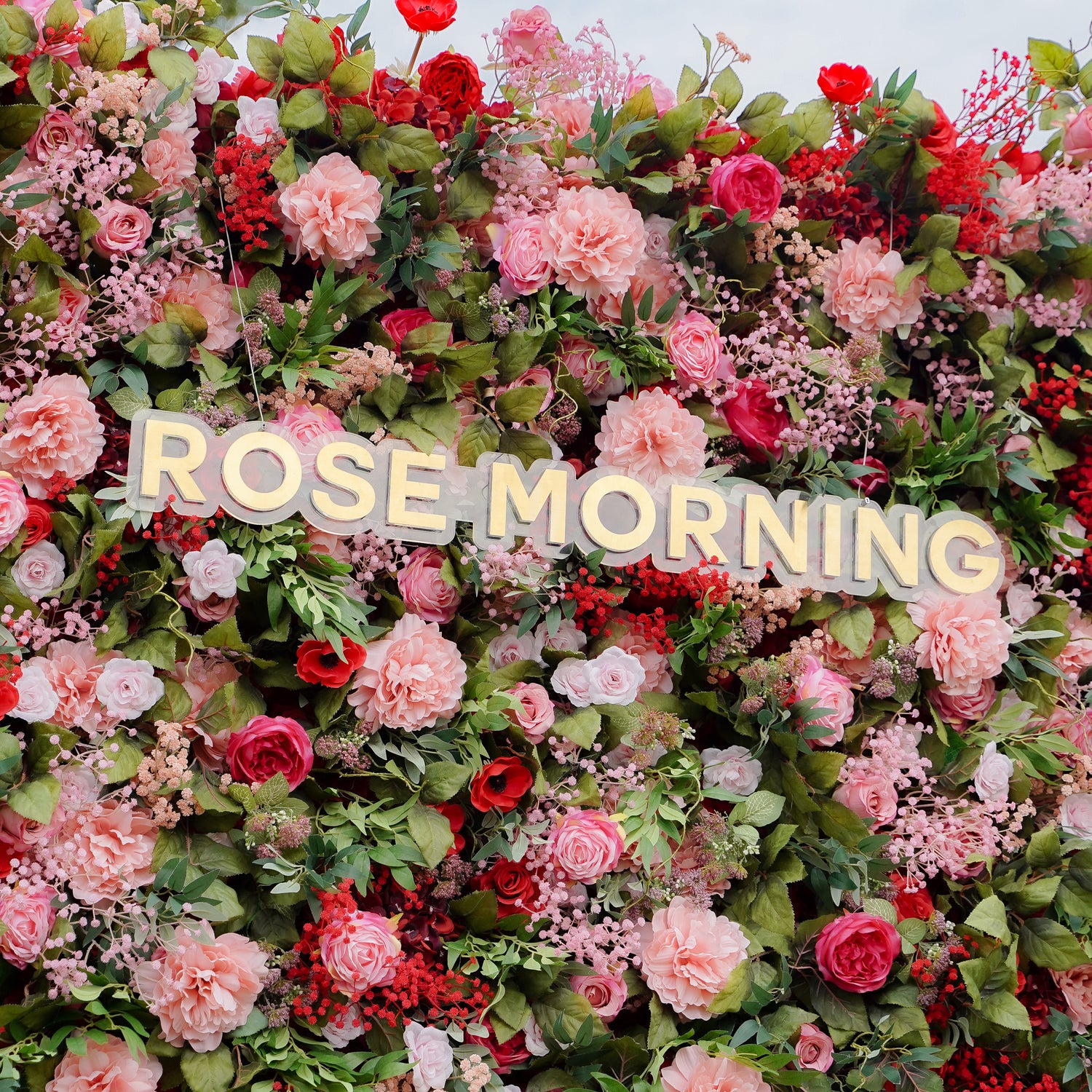 Freya 5D Fabric Artificial rolling up curtain flower wall Rose Morning