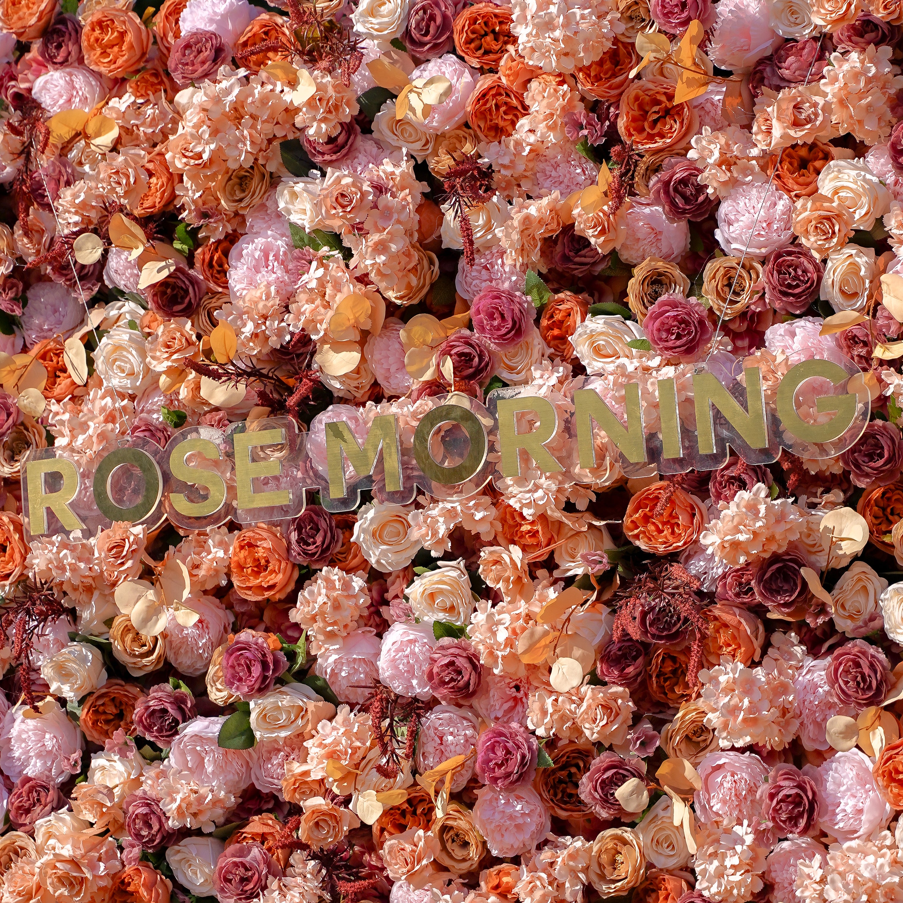 Renata 5D Fabric Artificial rolling up curtain flower wall Rose Morning