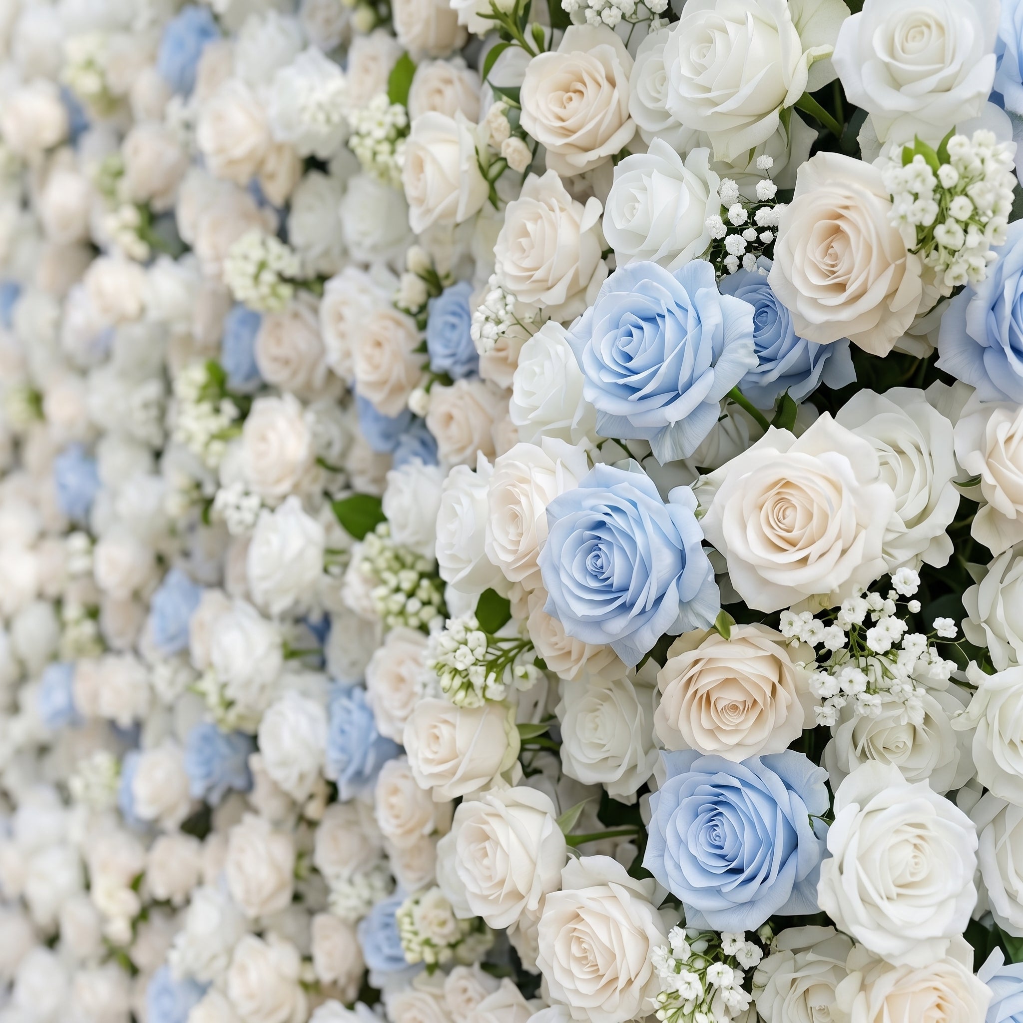 Fiorelle:5D Dusty Baby Blue & Ivory White Silk Rose Flower Wall Roll-Up Fabric Backdrop for Romantic Weddings & Proposals