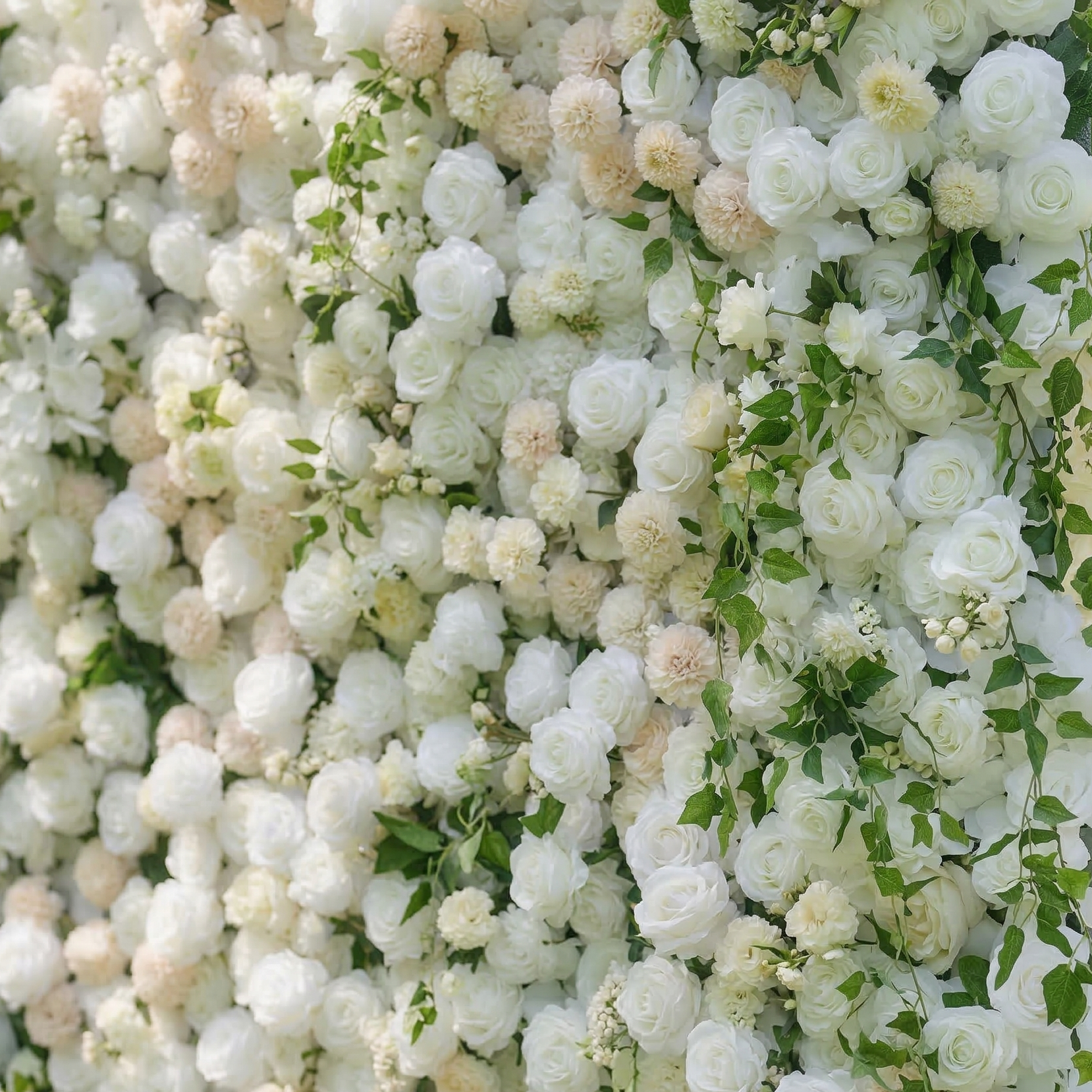 Lioraen: 5D Timeless Ivory and Light Champagne Flower Wall with Hanging Greenery Roll-Up Fabric Backdrop for Garden Party & Event