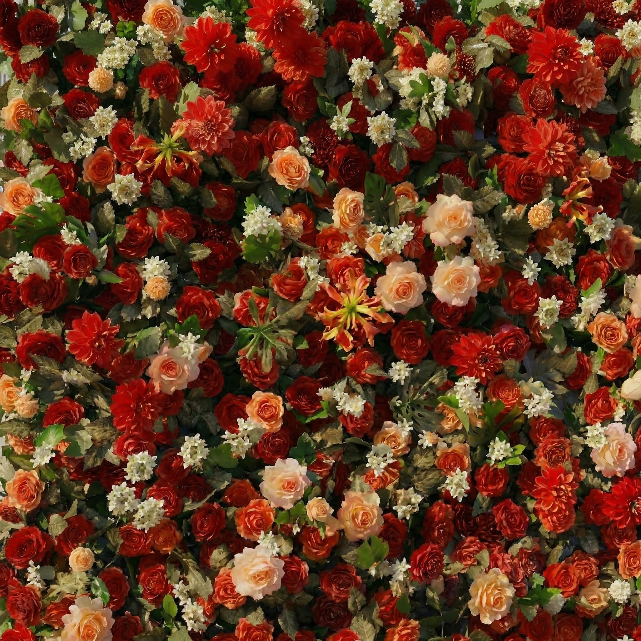Luxira: 4D Crimson and Champagne Silk Rose Flower Wall Roll-Up Fabric Backdrop for Luxury Weddings & Events Decoration
