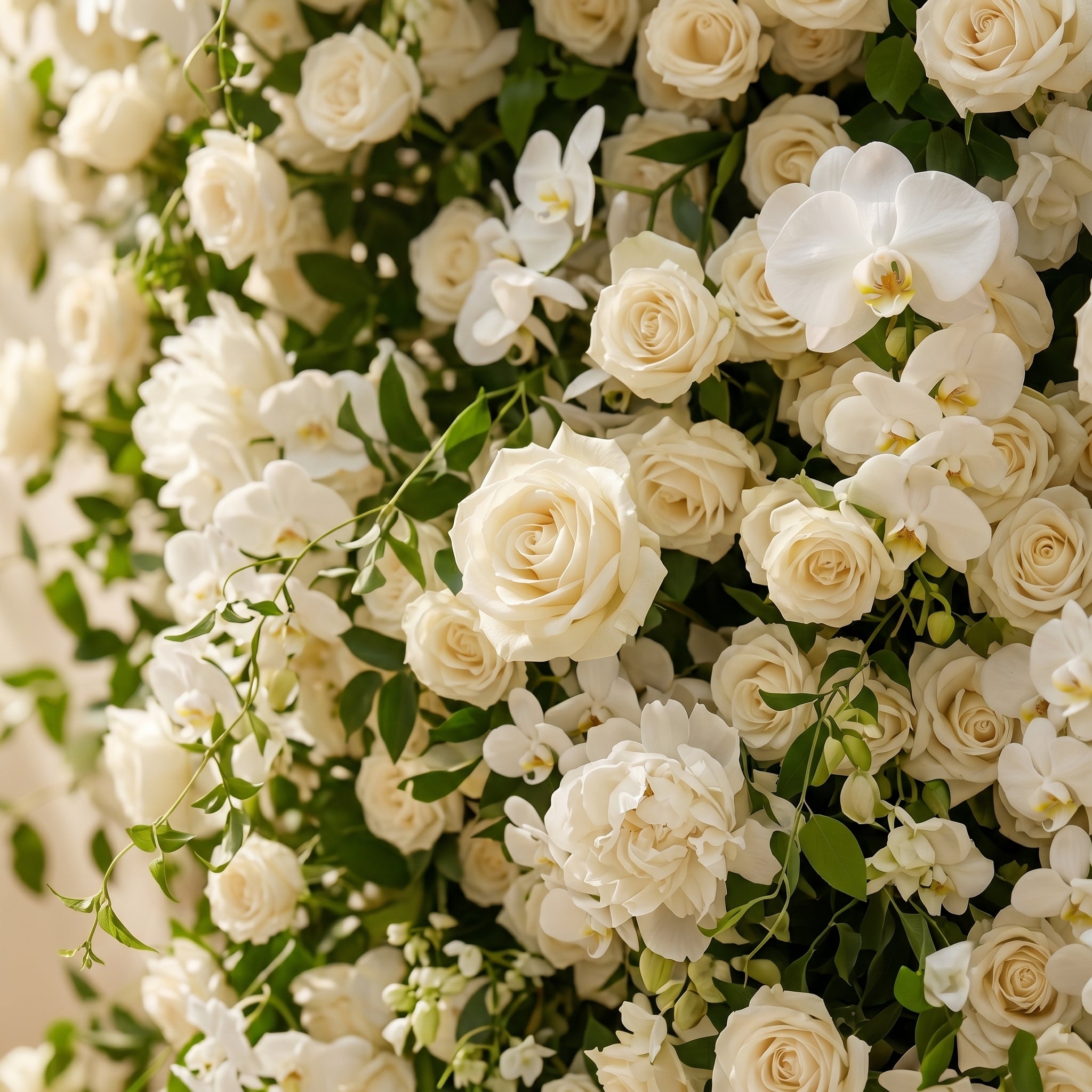 Maelette:Classic and Luxury 5D White Roses Flower Wall with Greenery for Weddings&Event Decor maelette detail 3