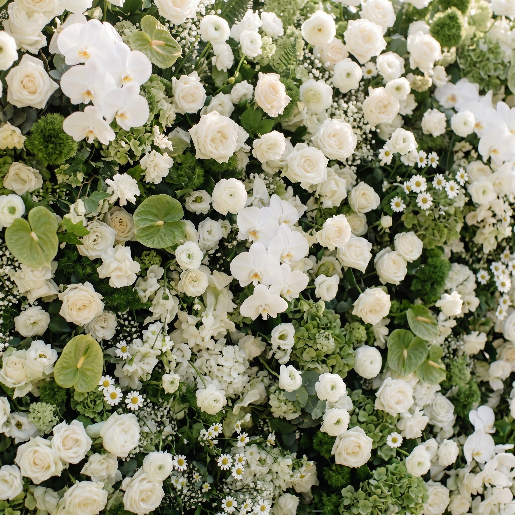 Marellina:5D Green & Ivory White Silk Rose Flower Wall Roll-Up Fabric Backdrop for Romantic Weddings & Proposals