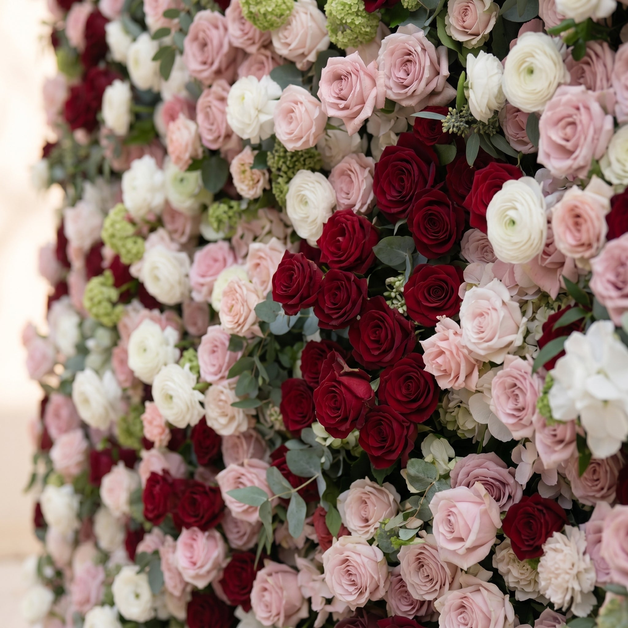 Mavenrella:5D Burgundy Red, Blush Pink & Ivory White Silk Rose Flower Wall Roll-Up Fabric Backdrop for Romantic Weddings & Proposals