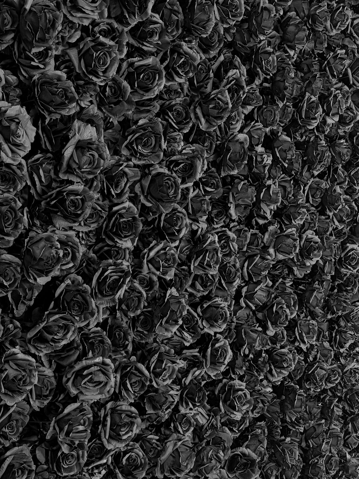 Maxine: 3D Fabric Artificial Zip Up Curtain Flower Wall For Wedding and Events Decoration