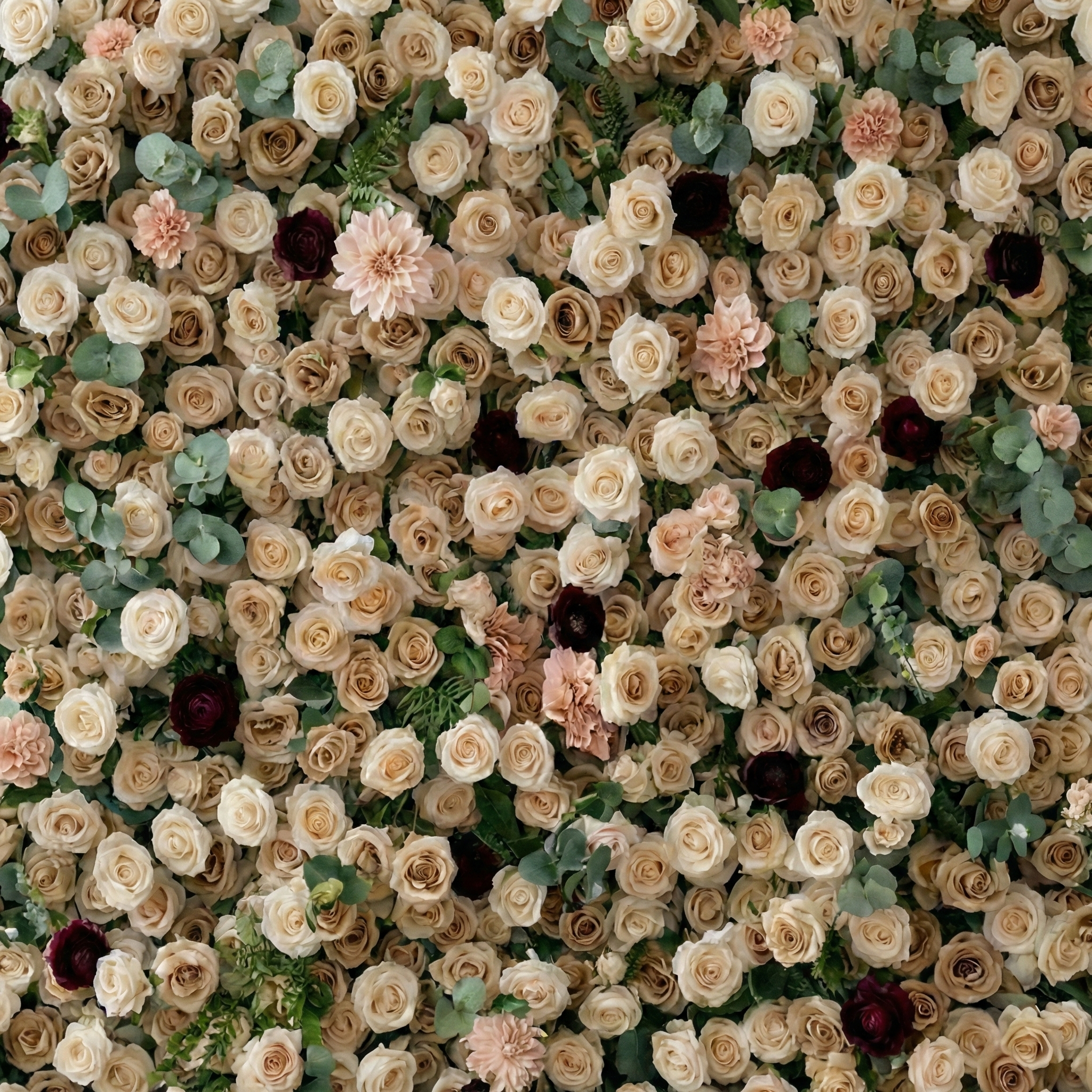 Mireya: 5D Elegant Champagne & Burgundy Silk Rose Flower Wall Roll-Up Fabric Backdrop for Luxury Weddings & Garden Parties