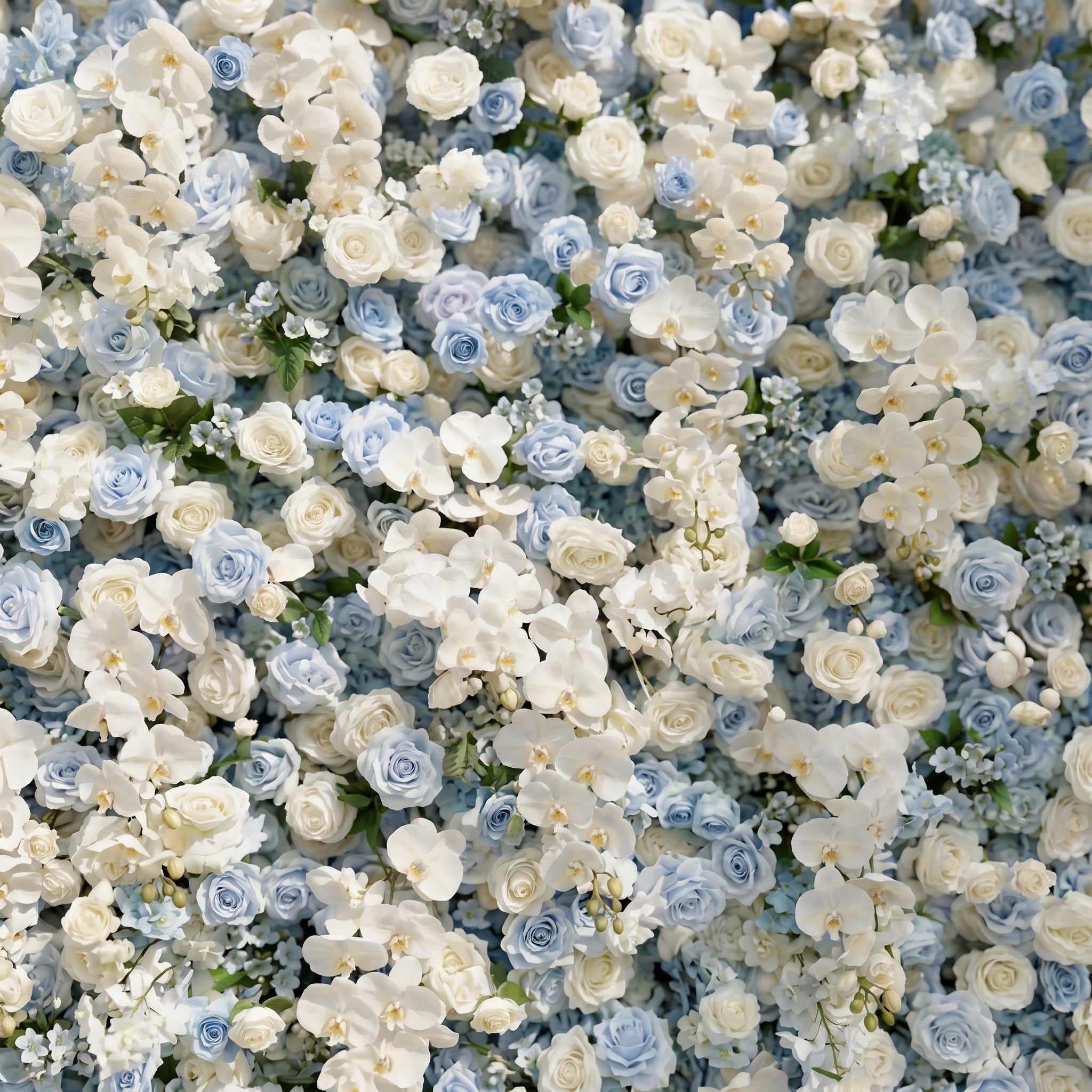 Novdelle:New Luxury 5D Blue&White roses Flower wall for Wedding&Event Decor novdelle detail 1