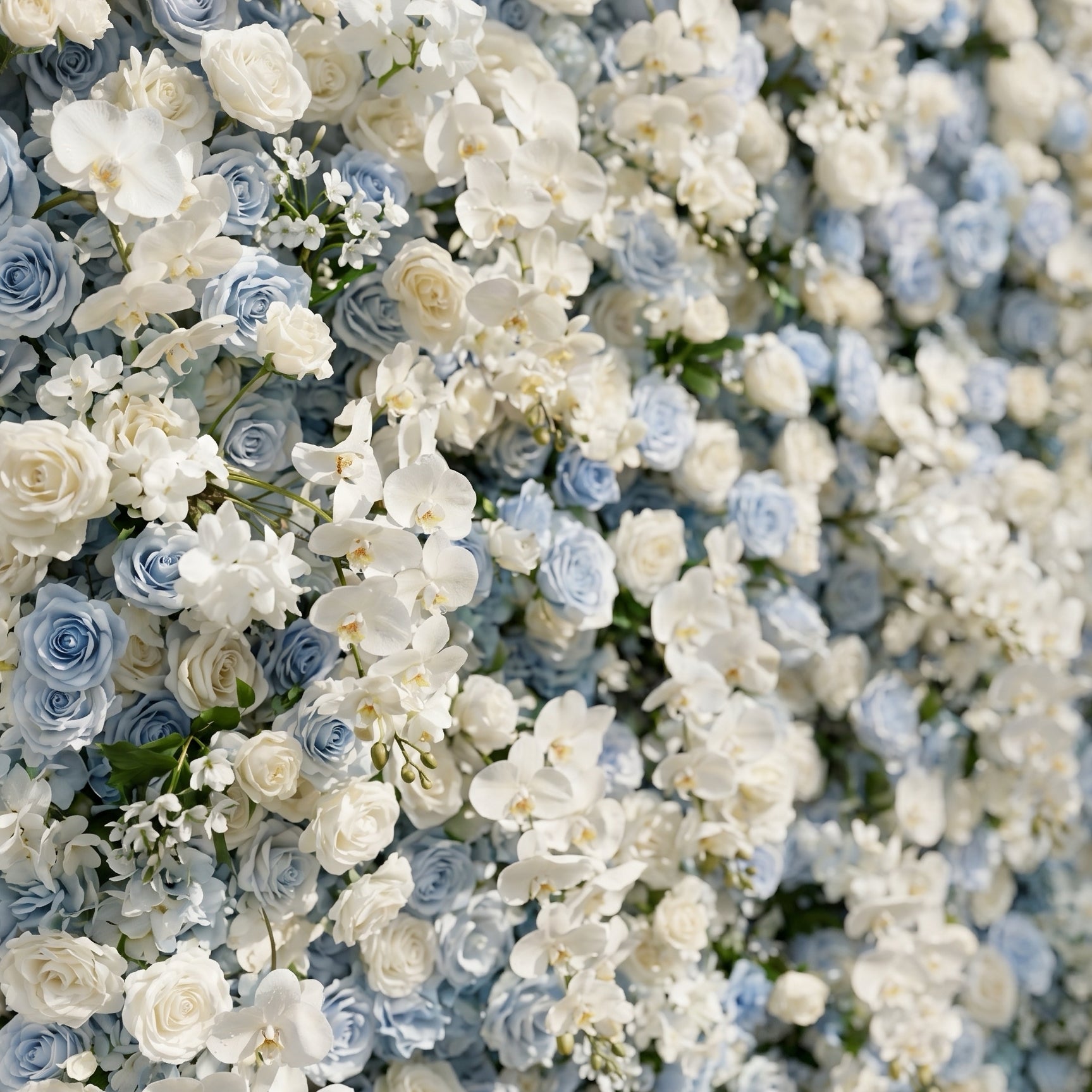 Novdelle:New Luxury 5D Blue&White roses Flower wall for Wedding&Event Decor novdelle detail 2