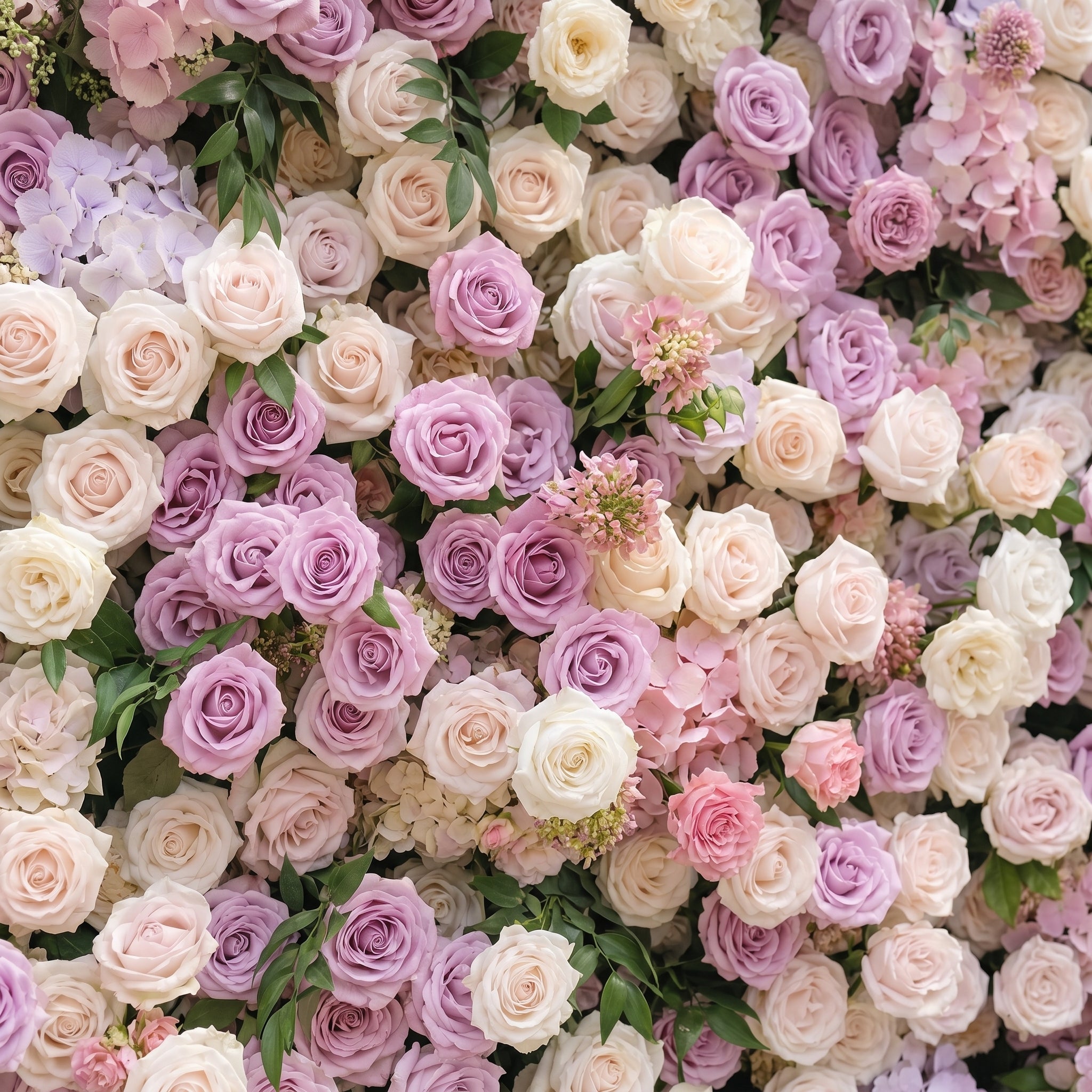 Peria:5D Gradient Lavender Purple & Blush Pink Silk Rose Flower Wall Roll-Up Fabric Backdrop for Romantic Weddings & Proposals