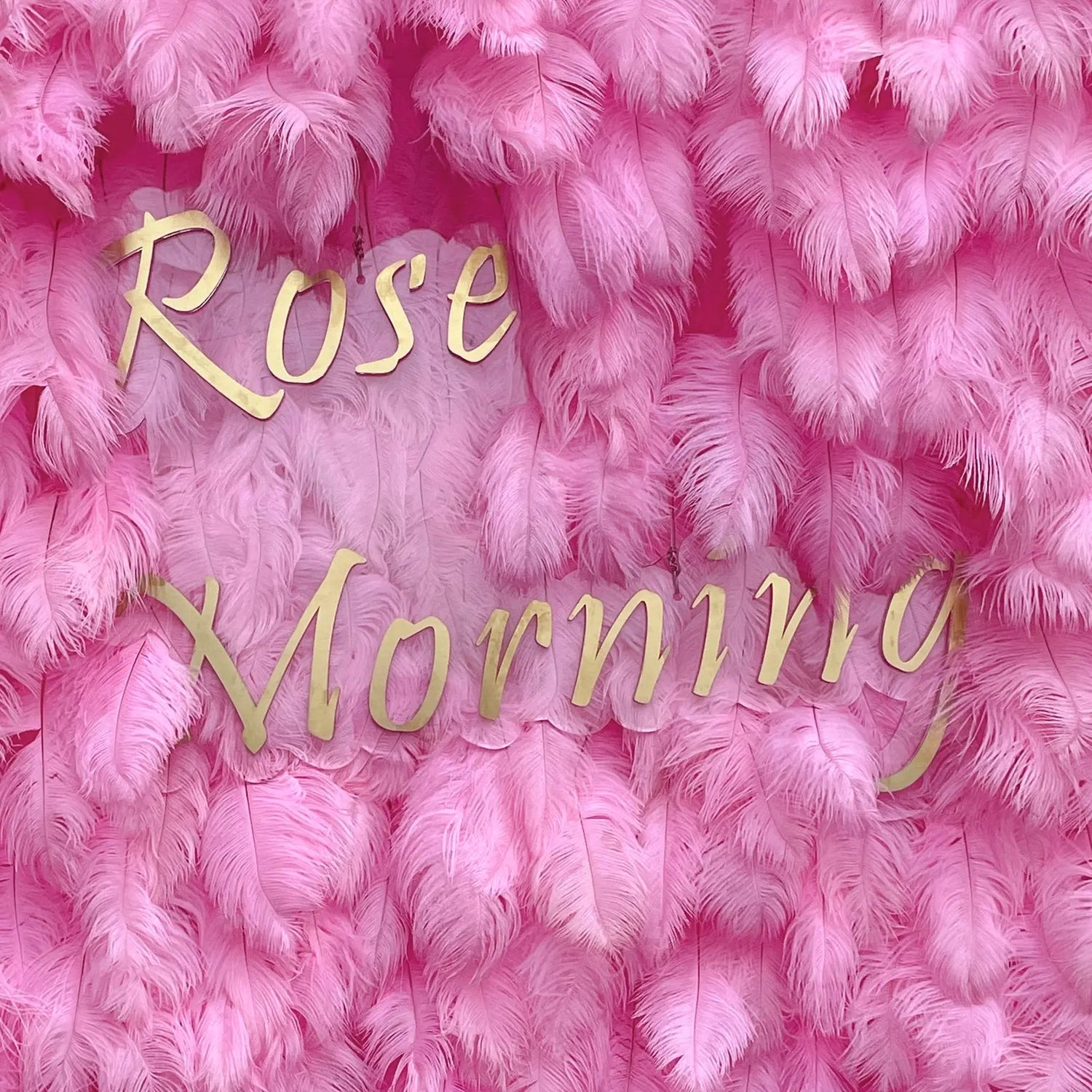 Pink Feather:5D Fabric Artificial rolling up curtain flower wall