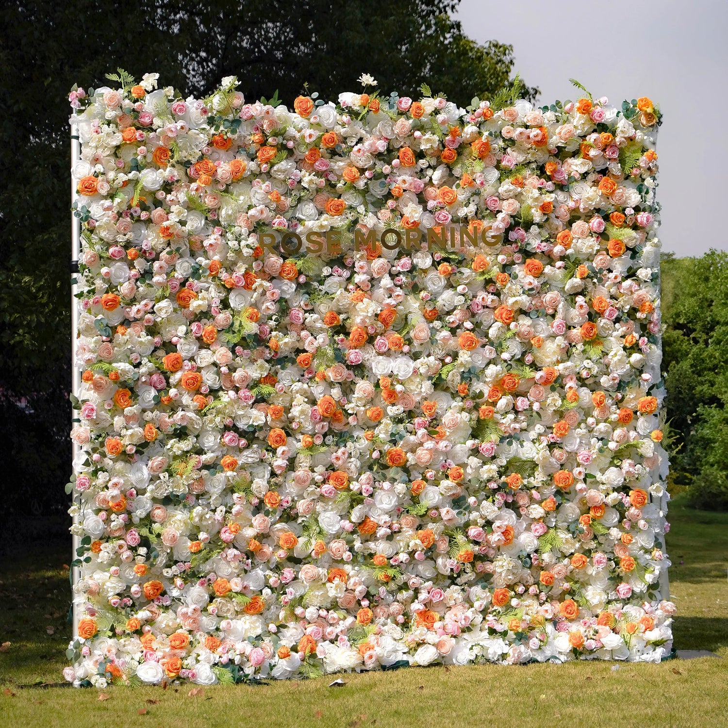 Pyrenie:3D Fabric Artificial rolling up curtain flower wall Rose Morning