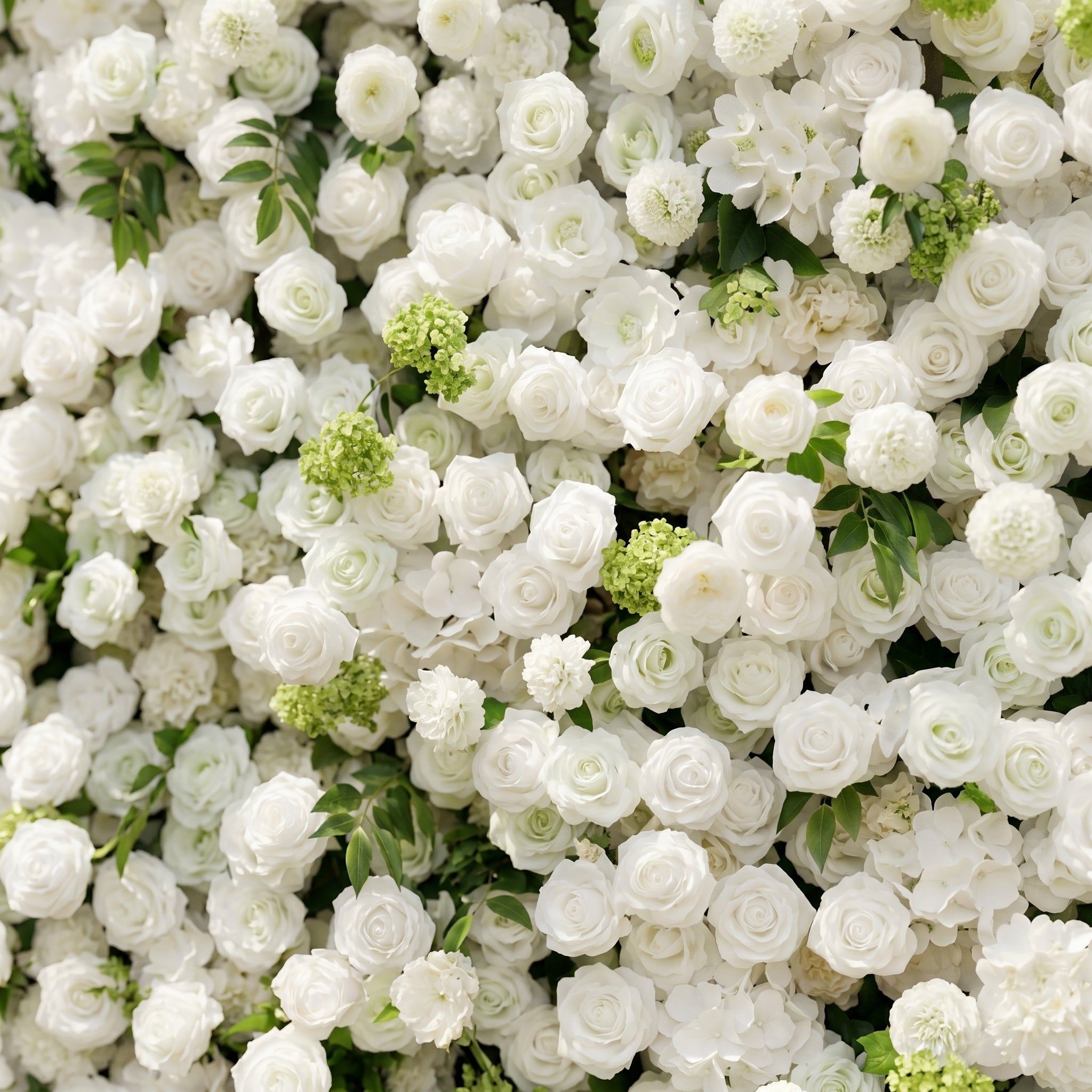 Raellyra:5D Soft Green & Ivory White Silk Rose Flower Wall Roll-Up Fabric Backdrop for Romantic Weddings & Proposals