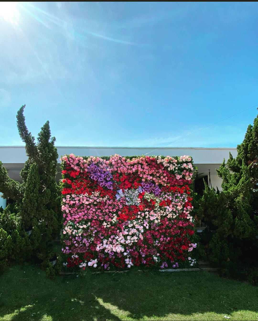 The flower walls are made of artificial flowers in various colors, layered at different levels to create a lush, elegant and natural look. The exclusive zipper design and roll-up design make it easy to install and remove.Rose Morning