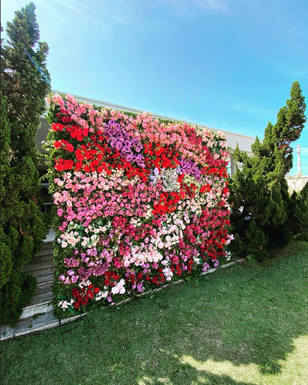 The flower walls are made of artificial flowers in various colors, layered at different levels to create a lush, elegant and natural look. The exclusive zipper design and roll-up design make it easy to install and remove.Rose Morning