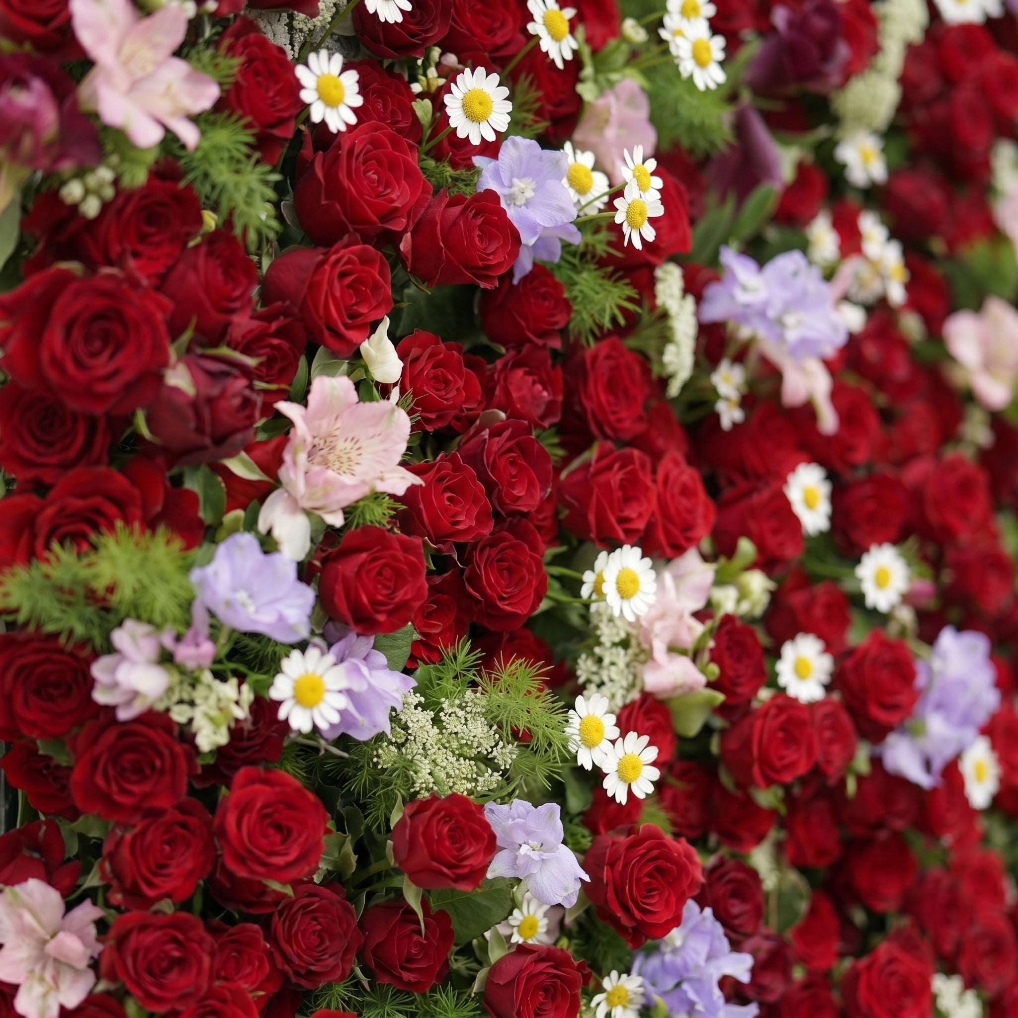 Sabbelle: Luxury 4D Ruby Red Rose Silk Floral Wall Backdrop with White Daisy & Lavender Accents for Romantic Weddings