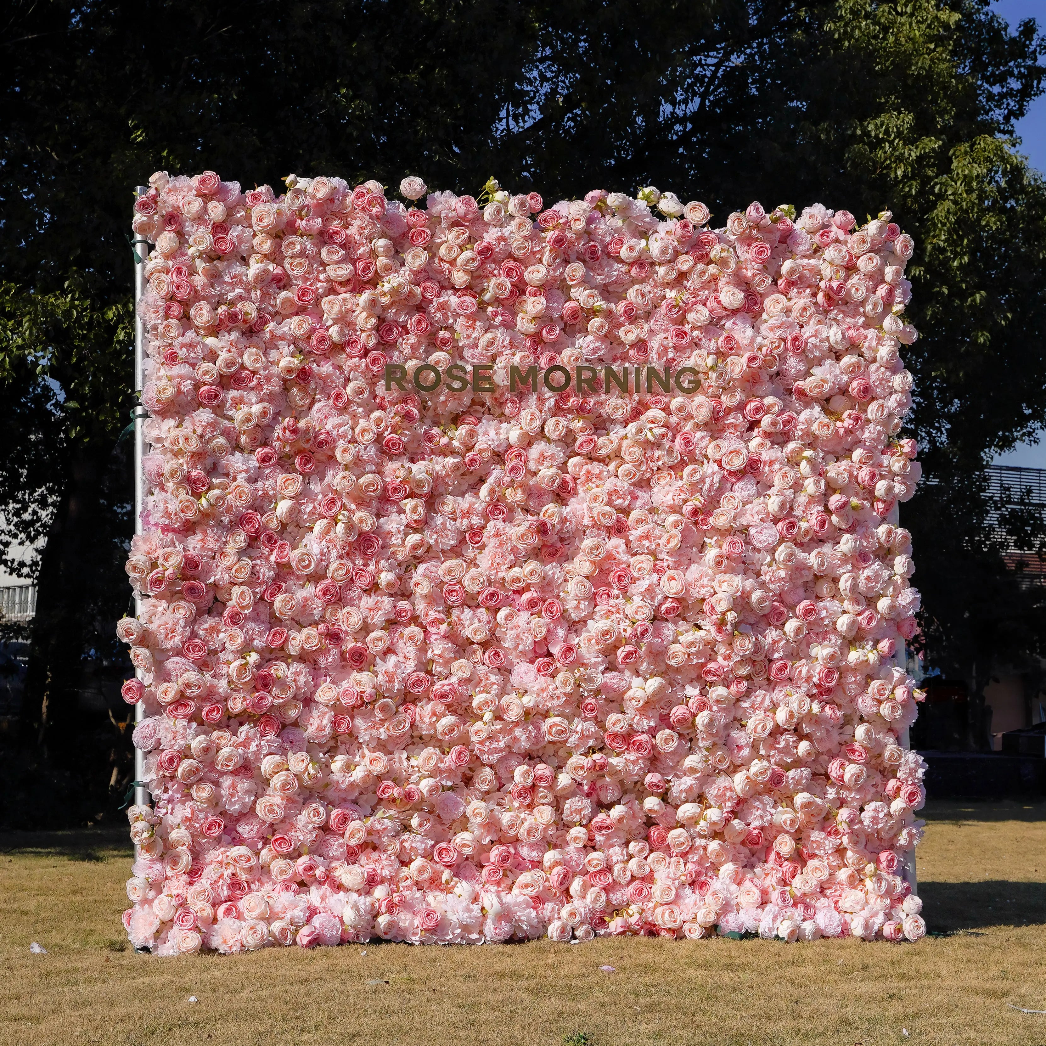 Sue:5D Garden Series New Fabric Artificial rolling up curtain flower wall Rose Morning