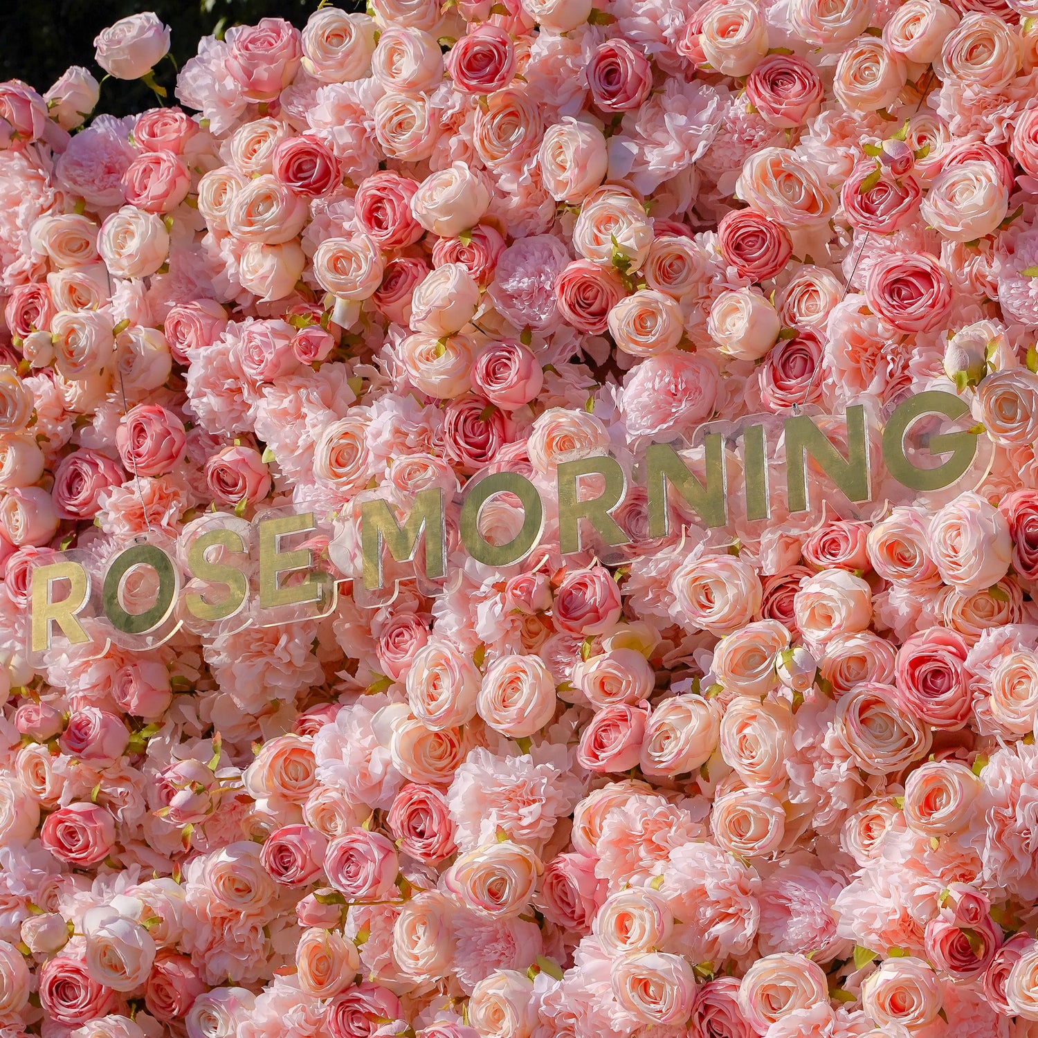 Sue:5D Garden Series New Fabric Artificial rolling up curtain flower wall Rose Morning