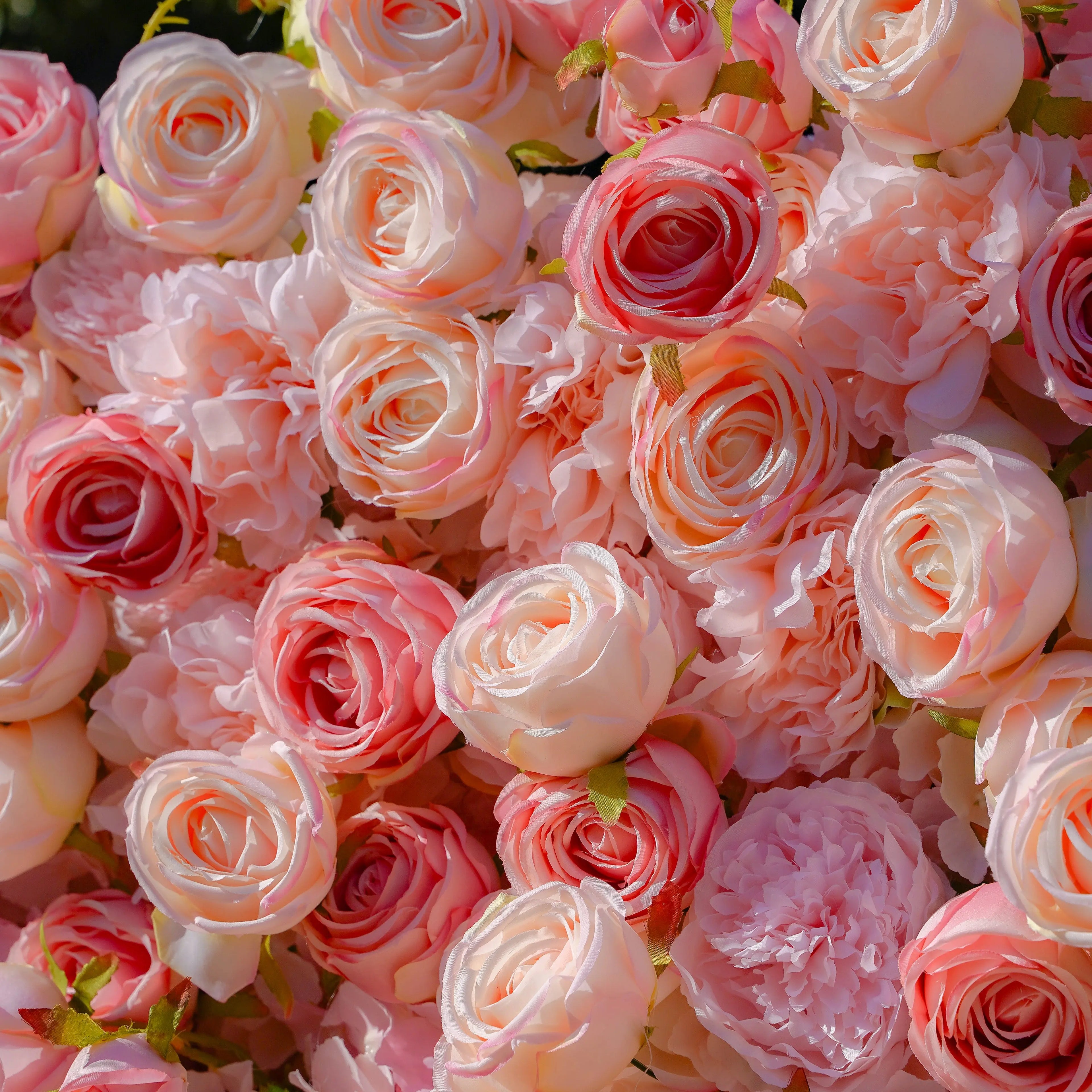 Sue:5D Garden Series New Fabric Artificial rolling up curtain flower wall Rose Morning