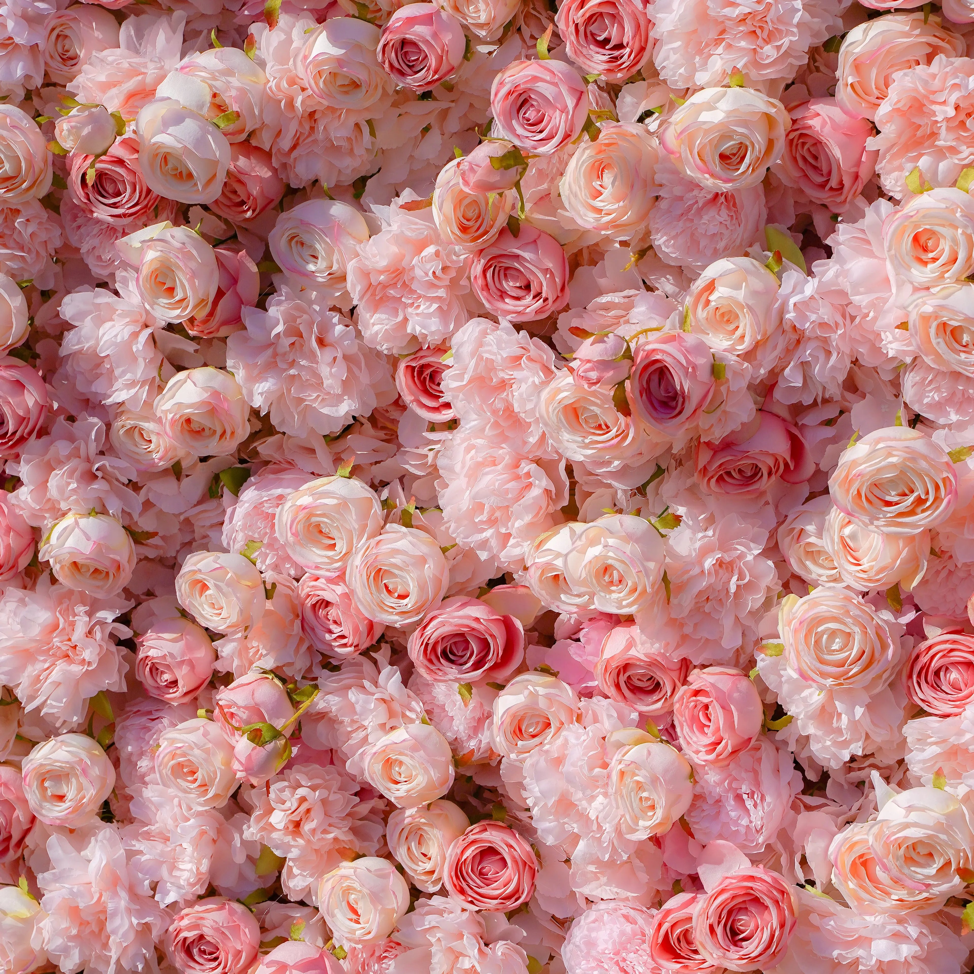 Sue:5D Garden Series New Fabric Artificial rolling up curtain flower wall Rose Morning