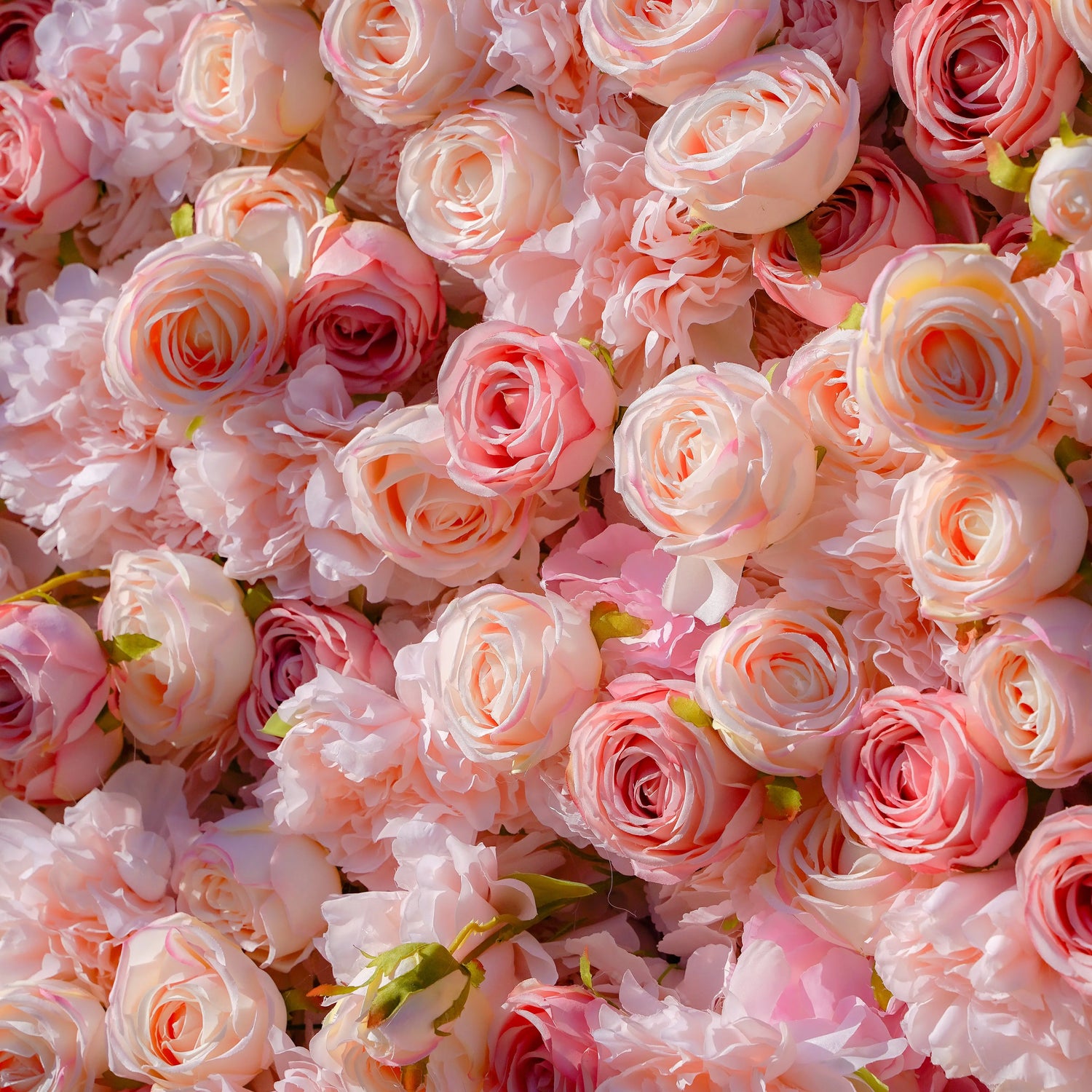 Sue:5D Garden Series New Fabric Artificial rolling up curtain flower wall Rose Morning