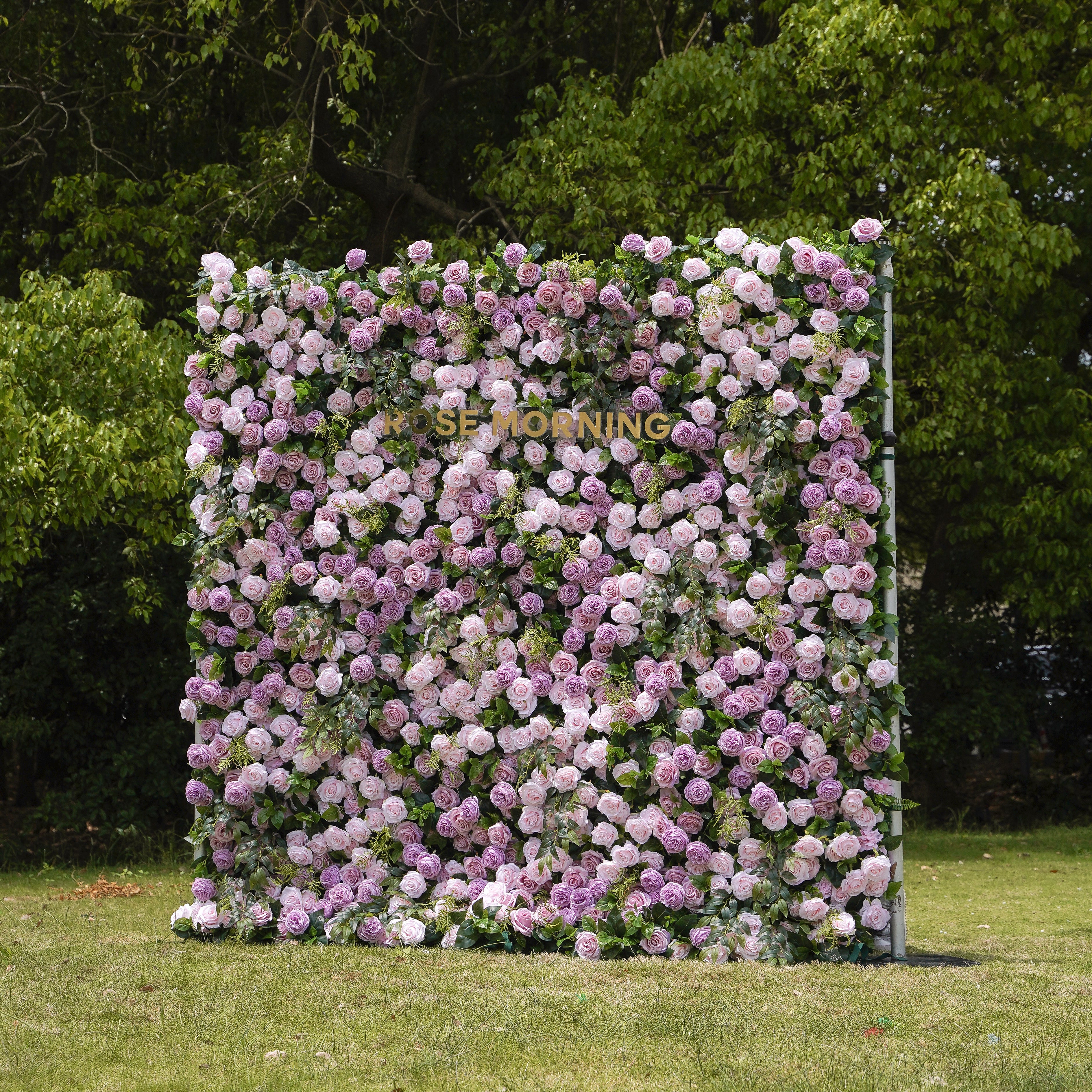 Tamara:5D Fabric Artificial rolling up curtain flower wall Rose Morning