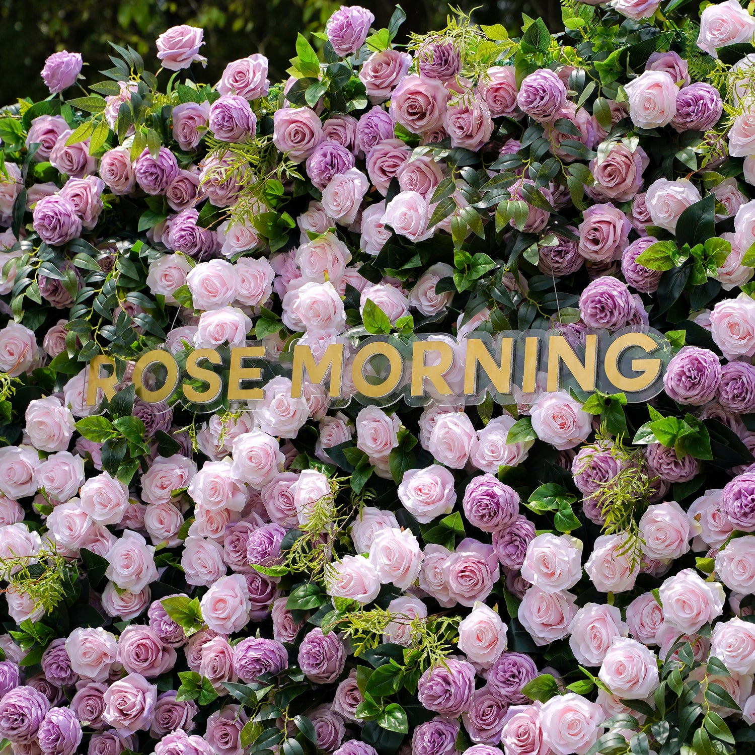 Tamara:5D Fabric Artificial rolling up curtain flower wall Rose Morning