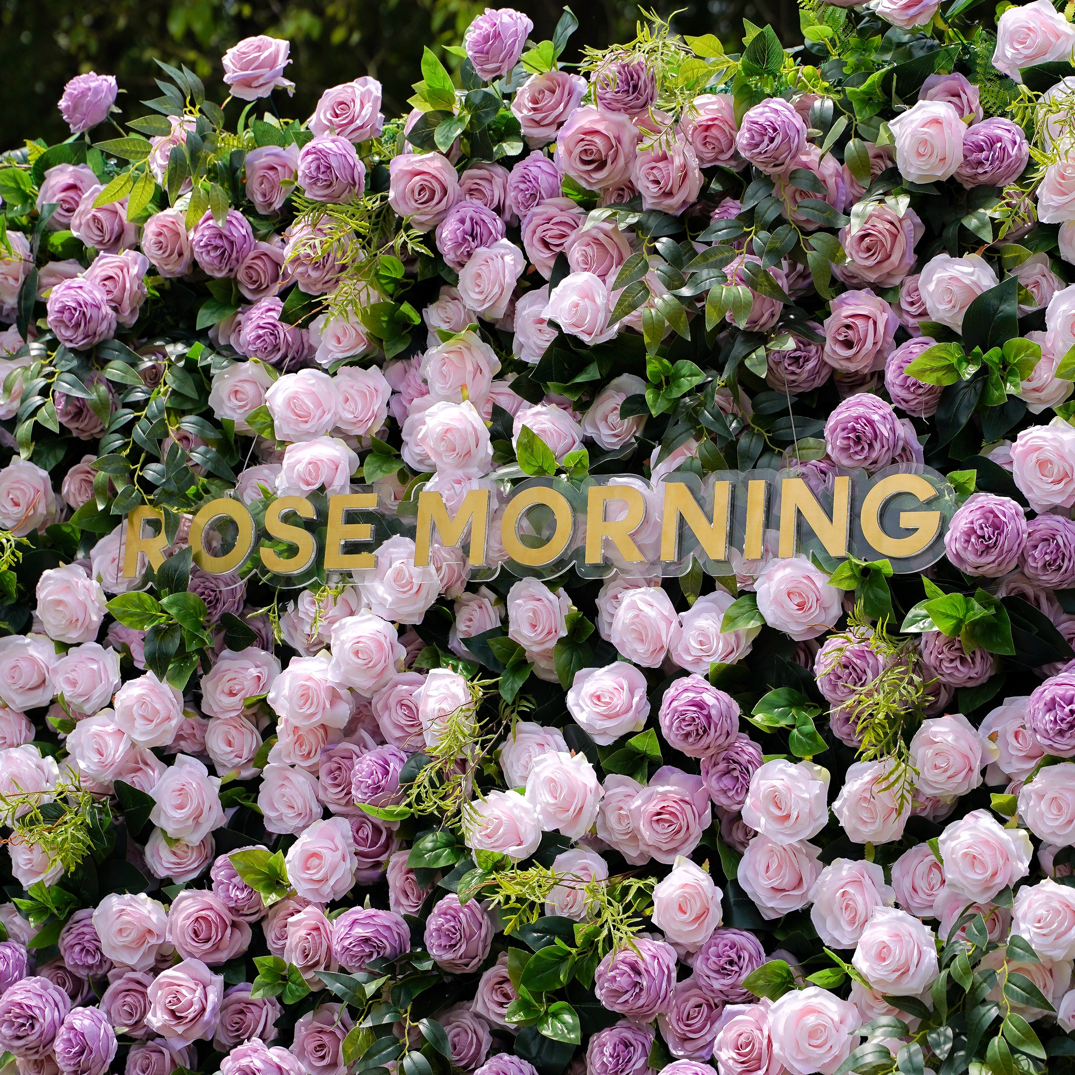 Tamara:5D Fabric Artificial rolling up curtain flower wall Rose Morning