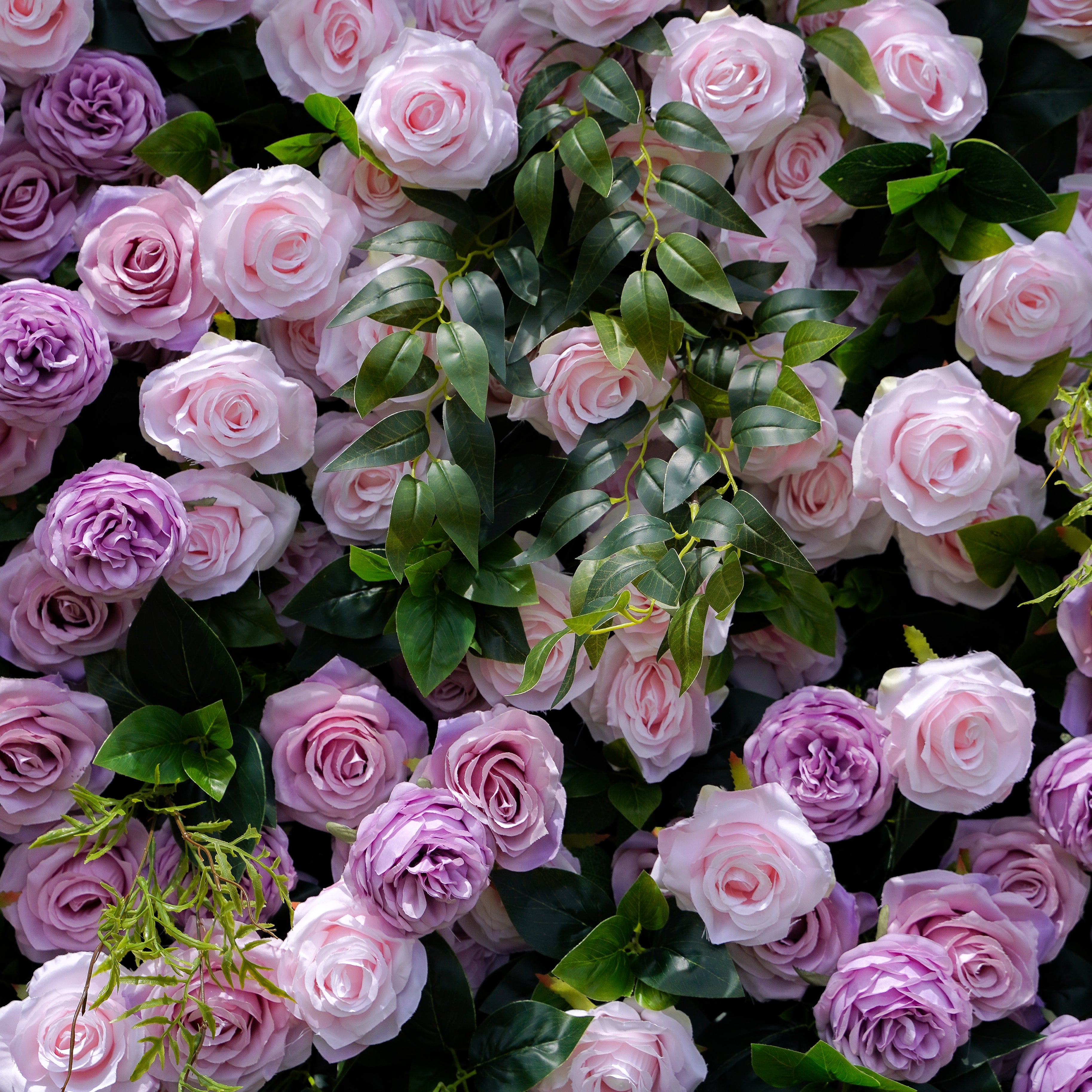 Tamara:5D Fabric Artificial rolling up curtain flower wall Rose Morning