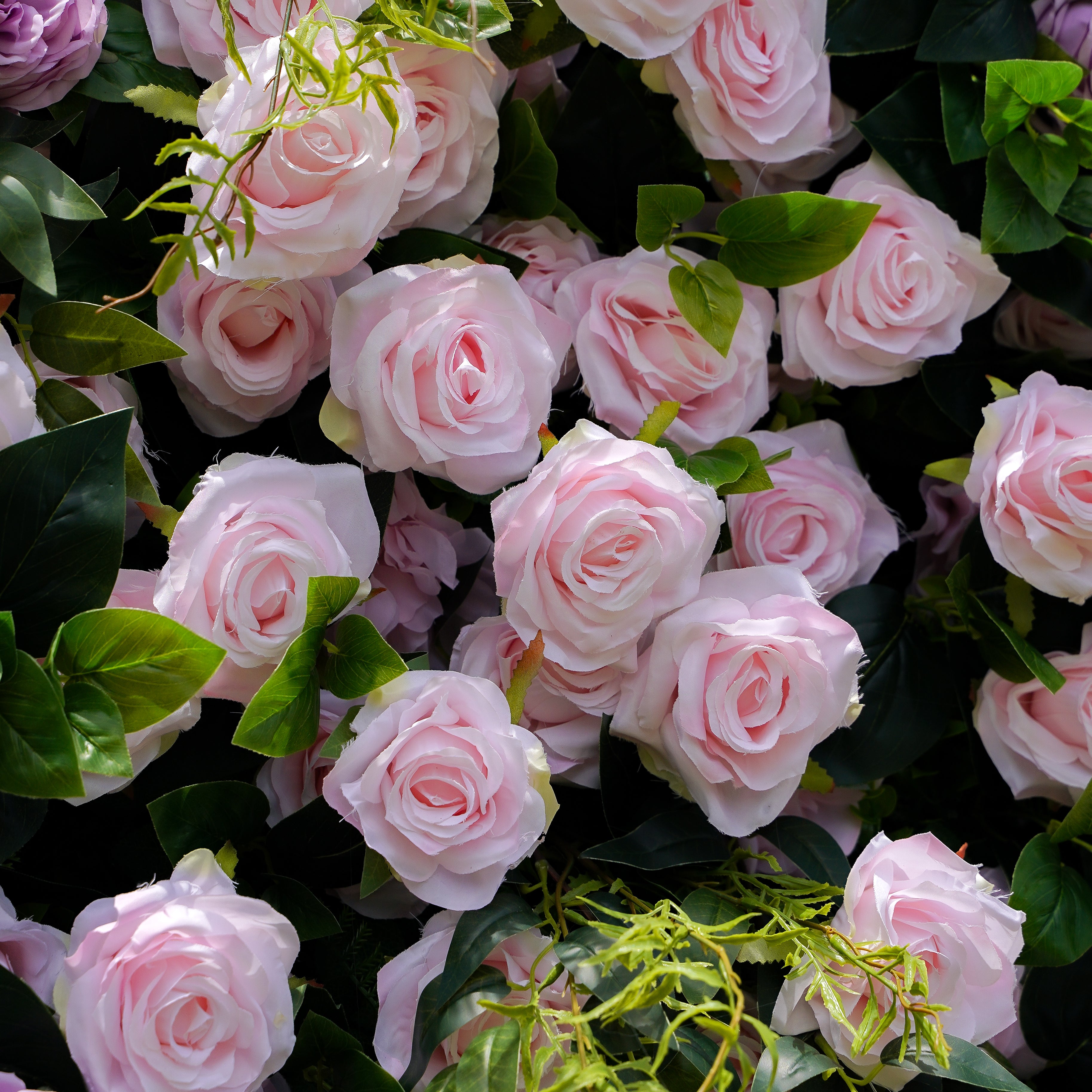 Tamara:5D Fabric Artificial rolling up curtain flower wall Rose Morning