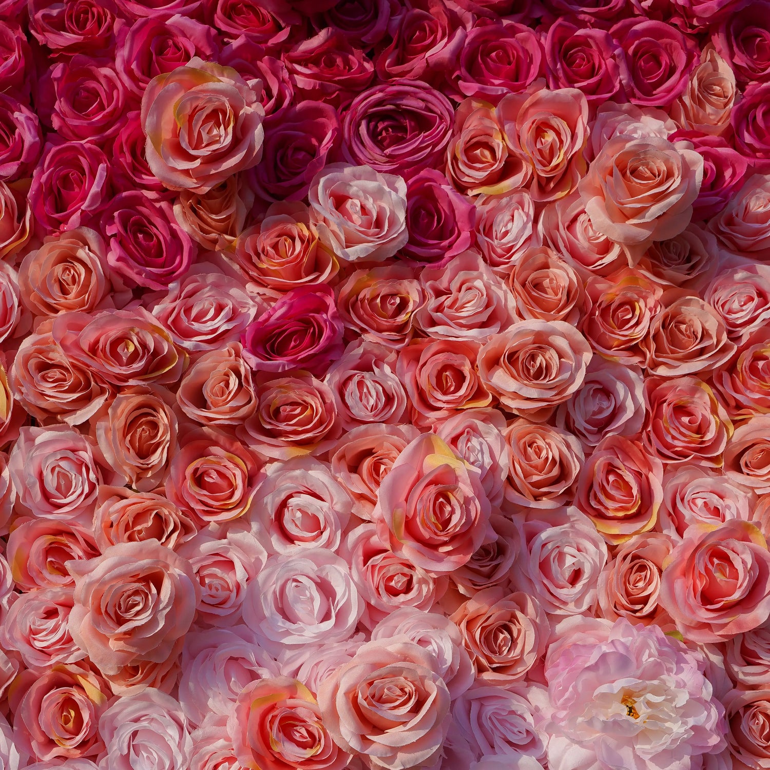Tina:5D Fabric Artificial rolling up curtain flower wall