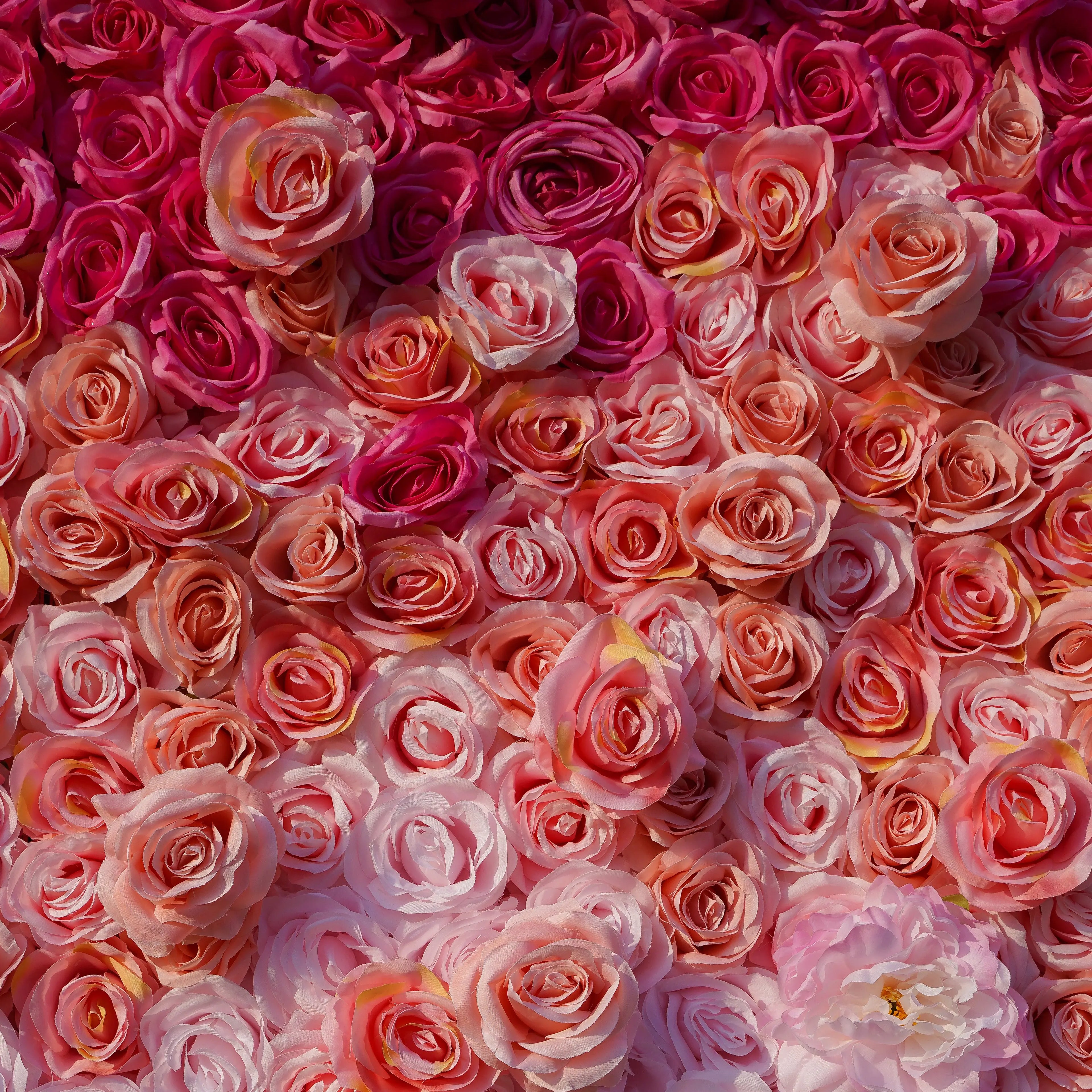 Tina:5D Fabric Artificial rolling up curtain flower wall