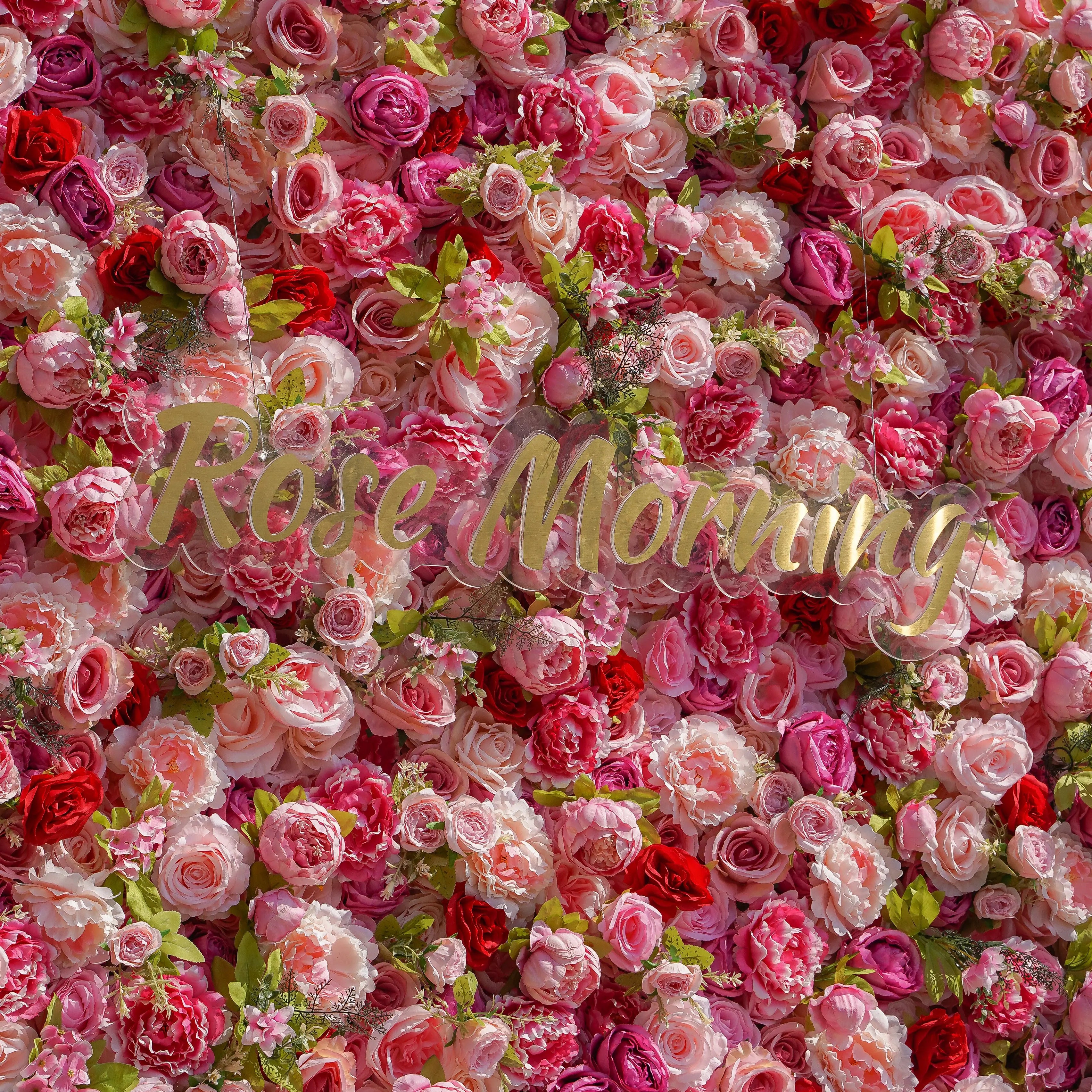 Twins:5D Fabric Artificial rolling up curtain flower wall